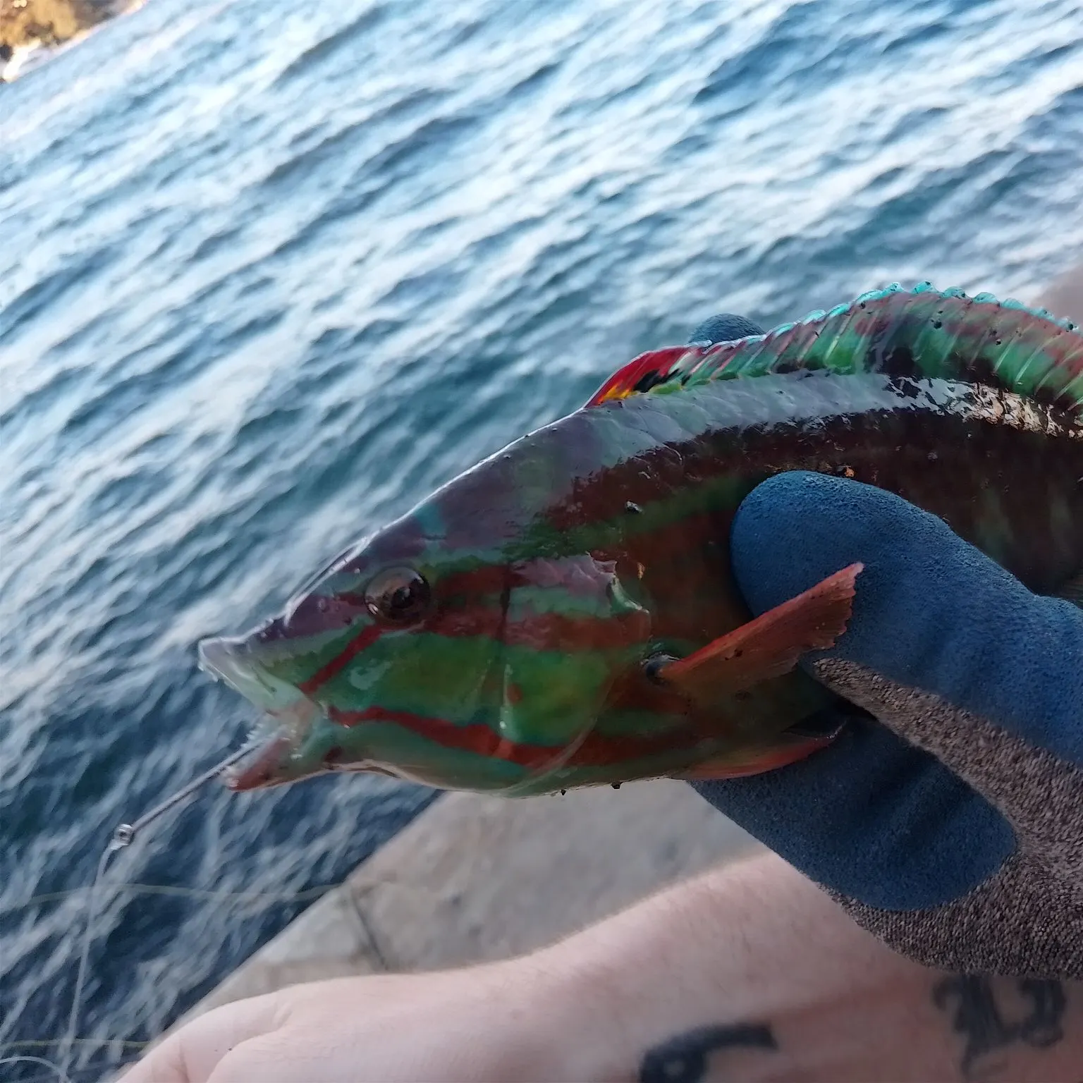 catch