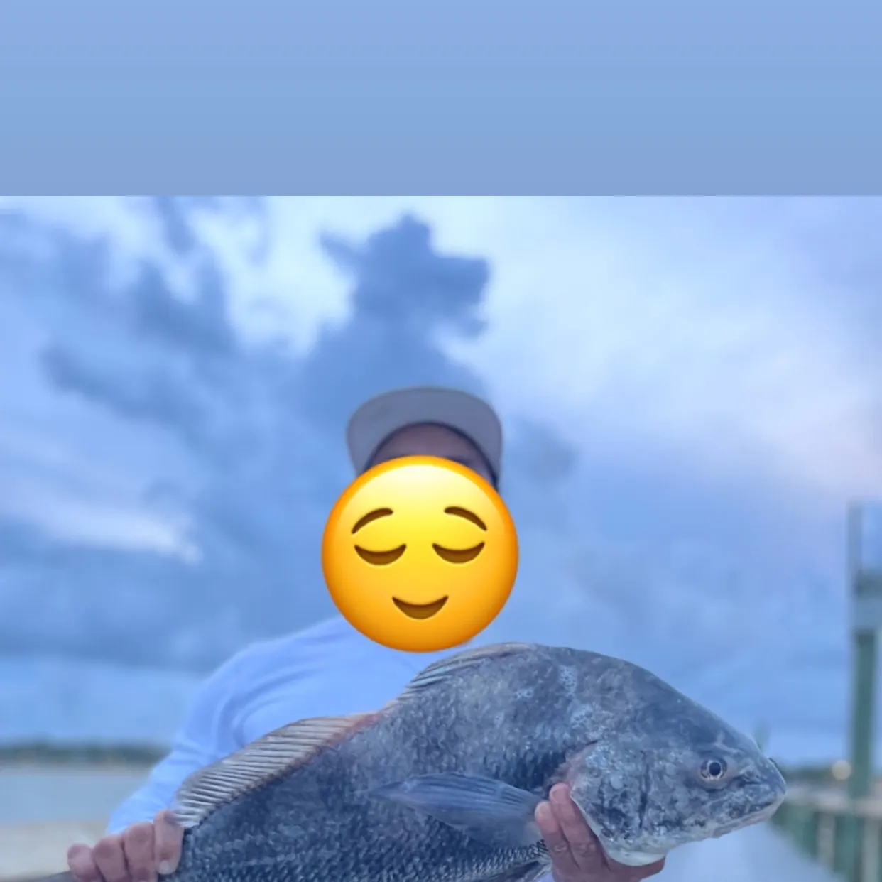 Black drum caught on Fishbrain