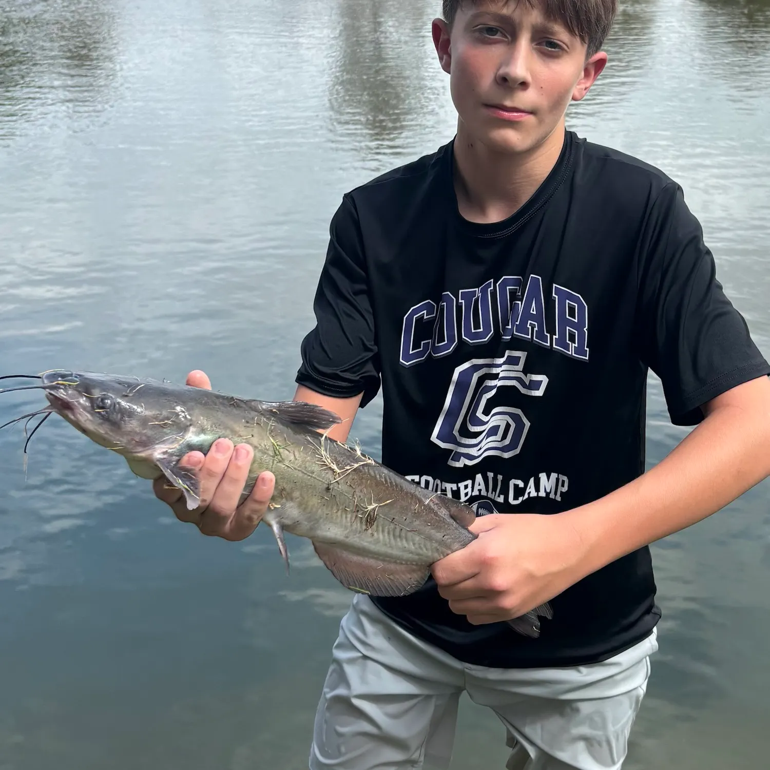 Channel catfish caught on Fishbrain