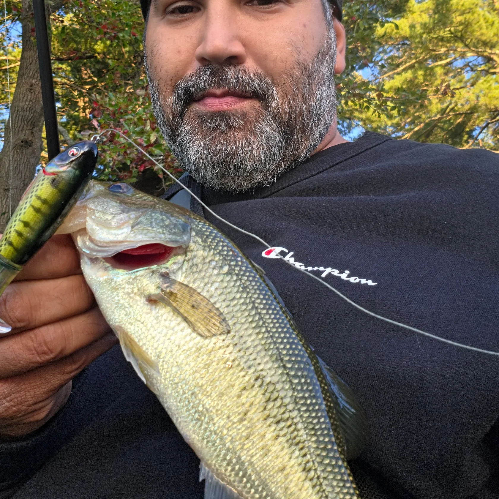 Largemouth bass caught on Fishbrain