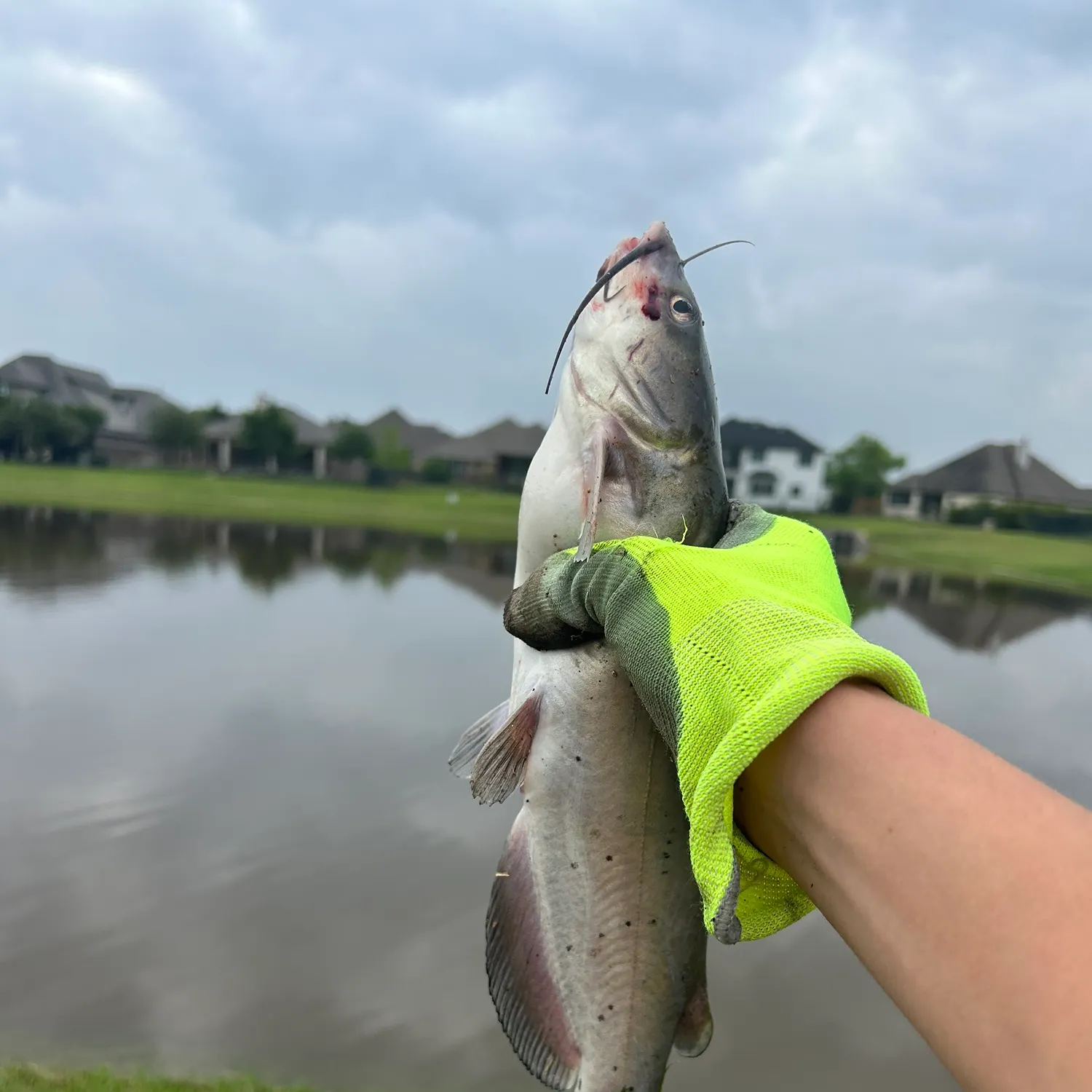 catch