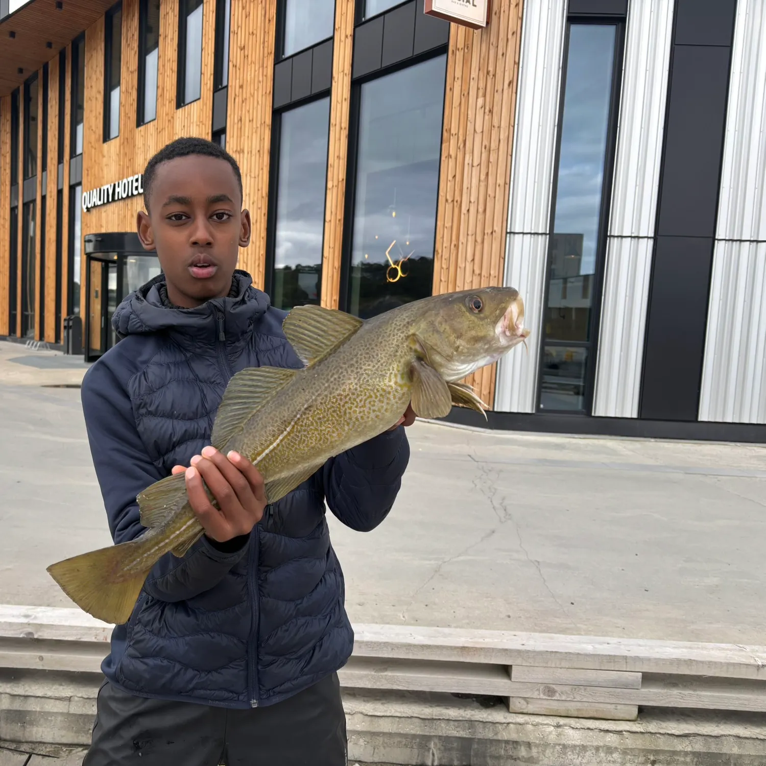 Atlantic cod caught on Fishbrain
