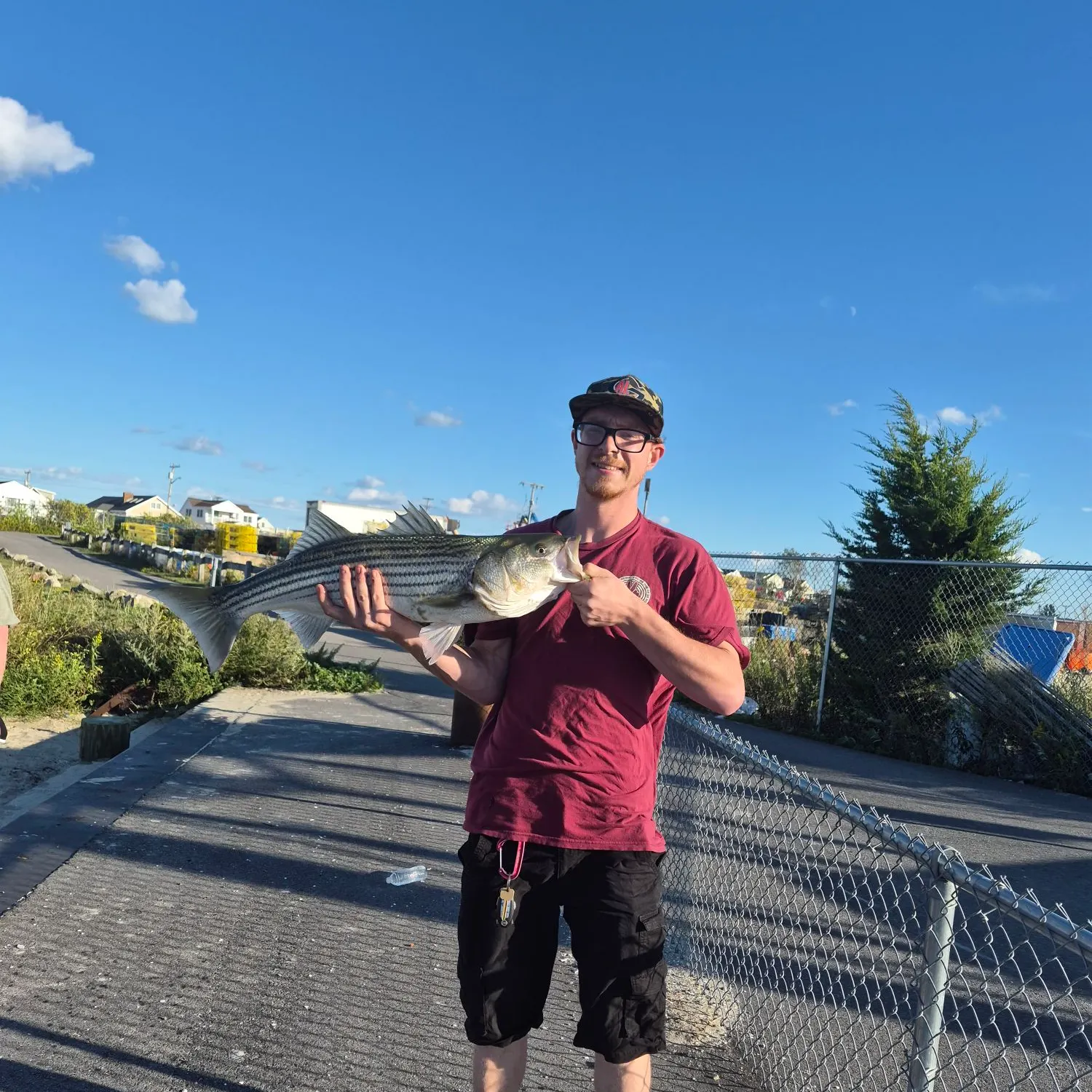 Striped bass caught on Fishbrain