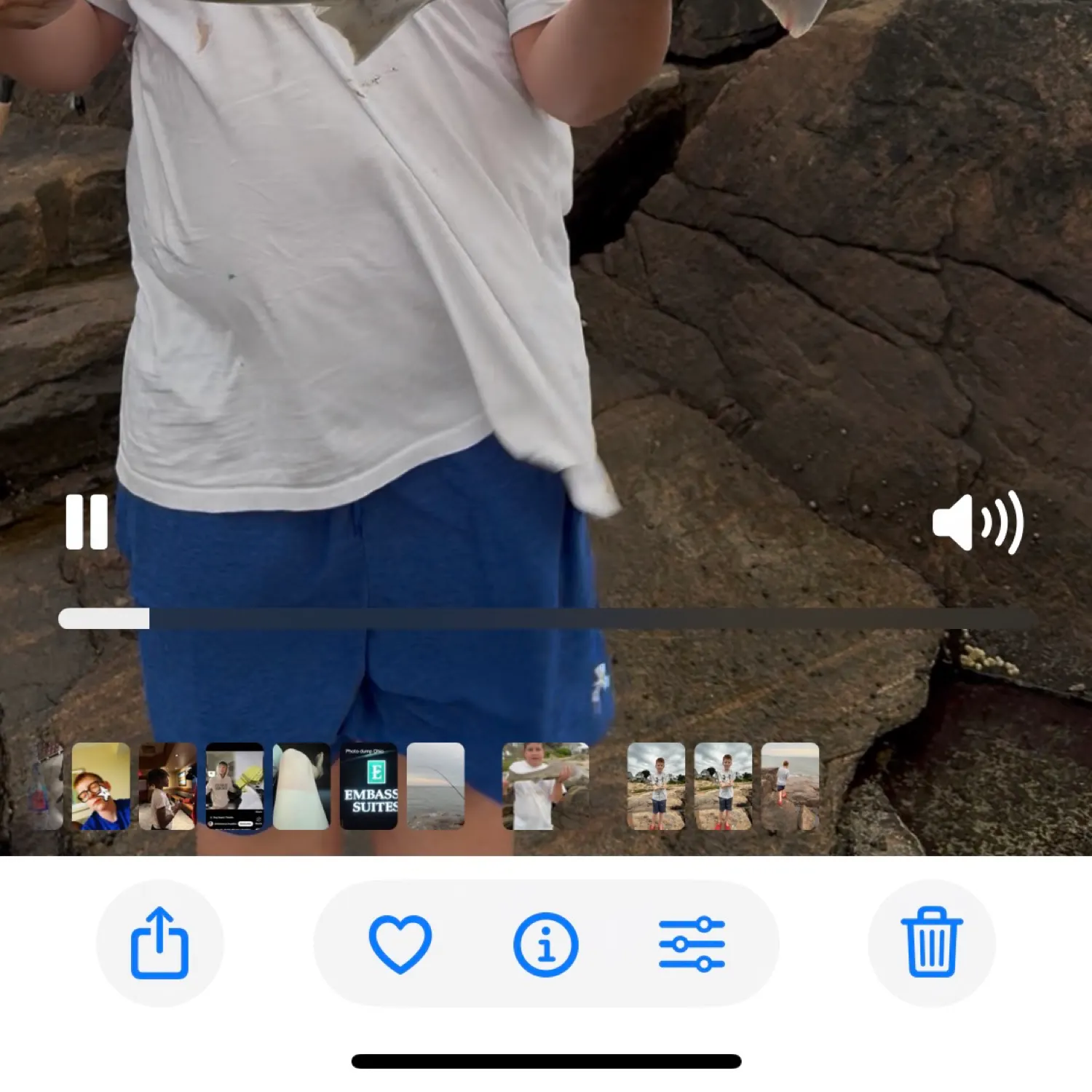 recently logged catches