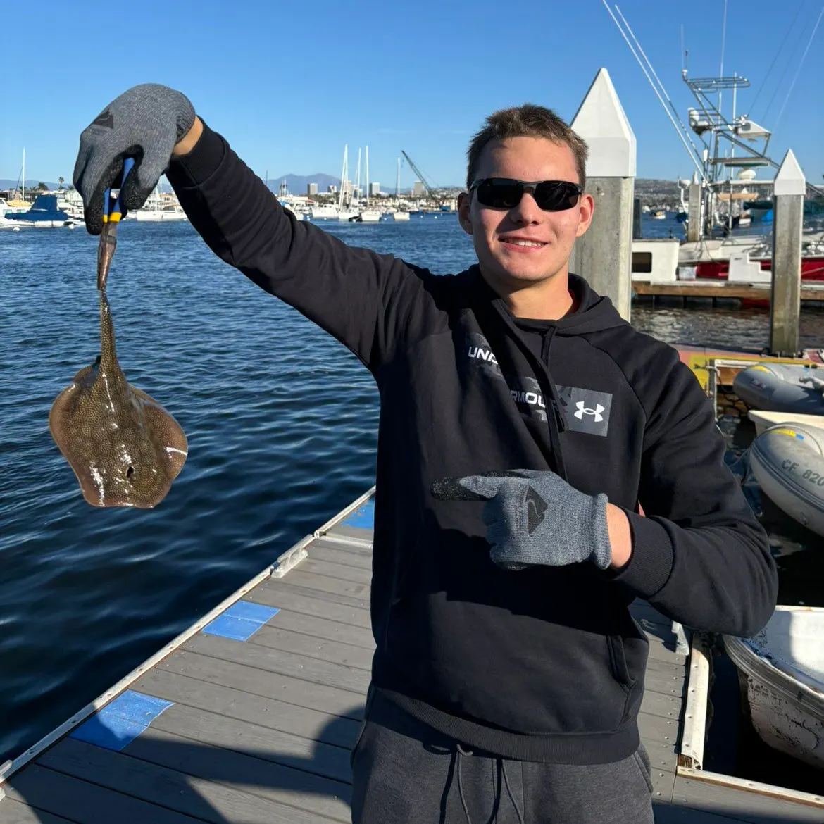 The most recent Haller's round ray catches on Fishbrain
