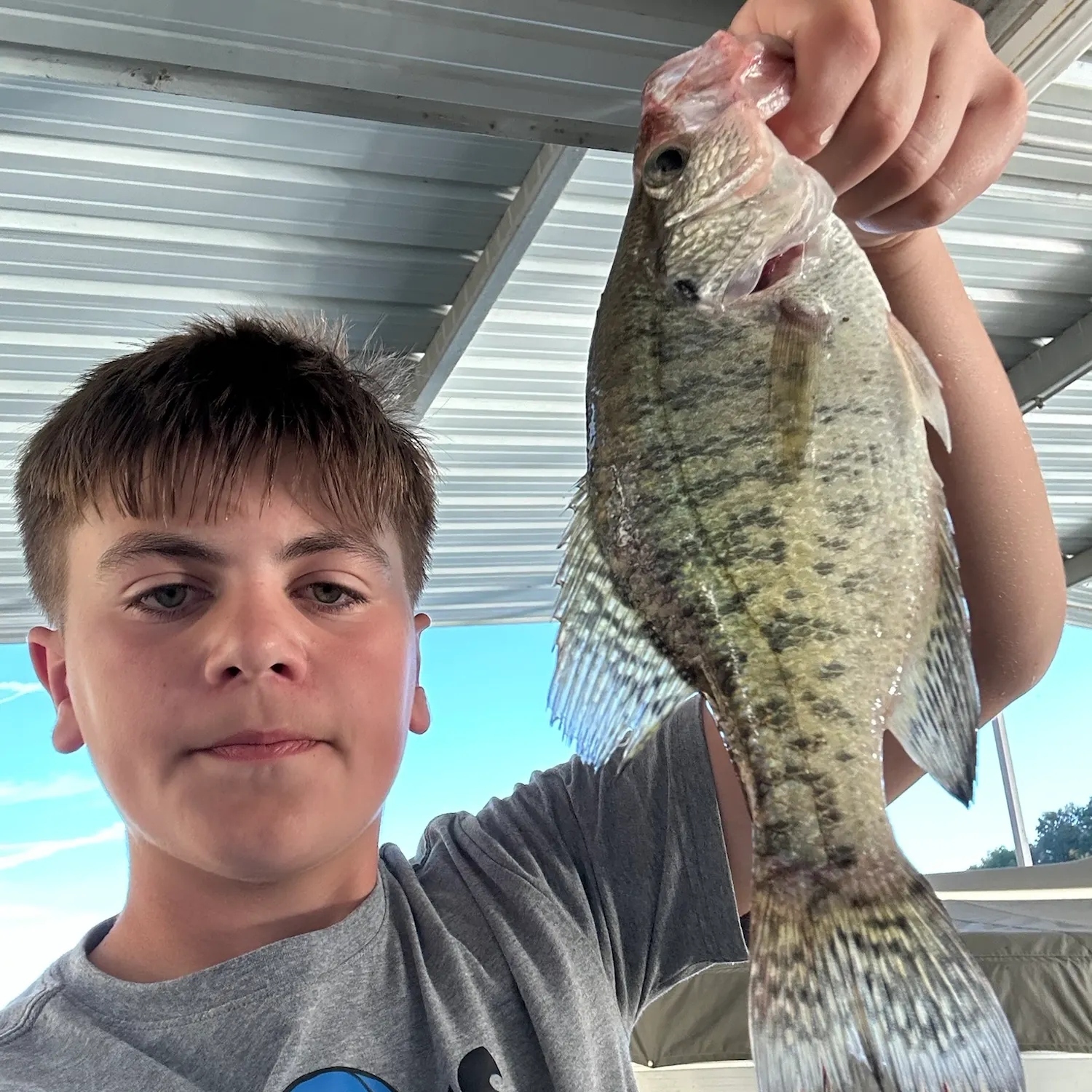 White crappie caught on Fishbrain