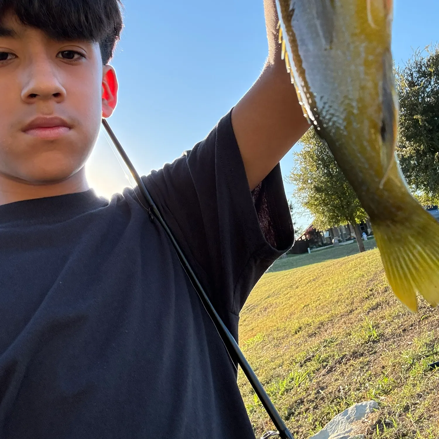 Green sunfish caught on Fishbrain