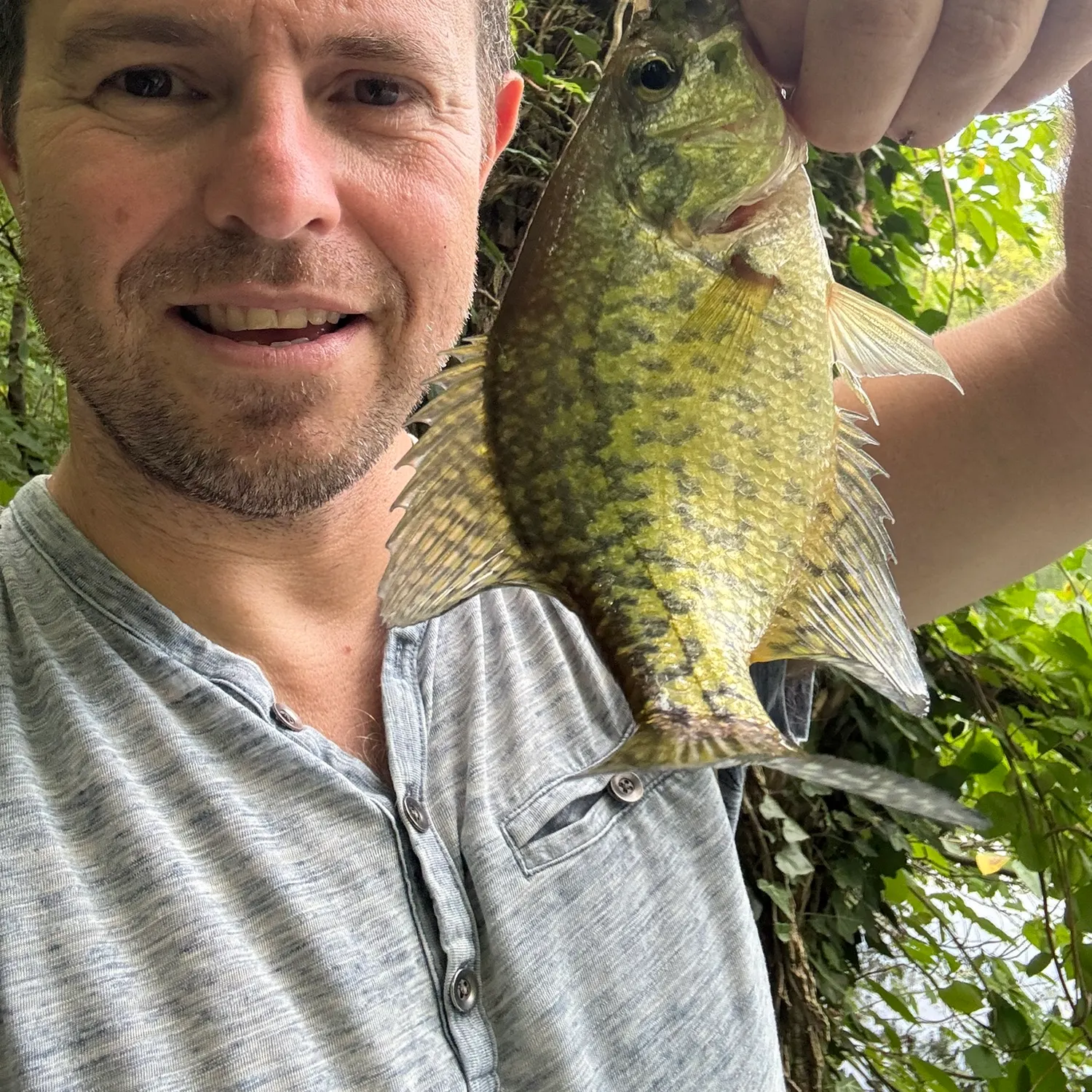 Black crappie caught on Fishbrain