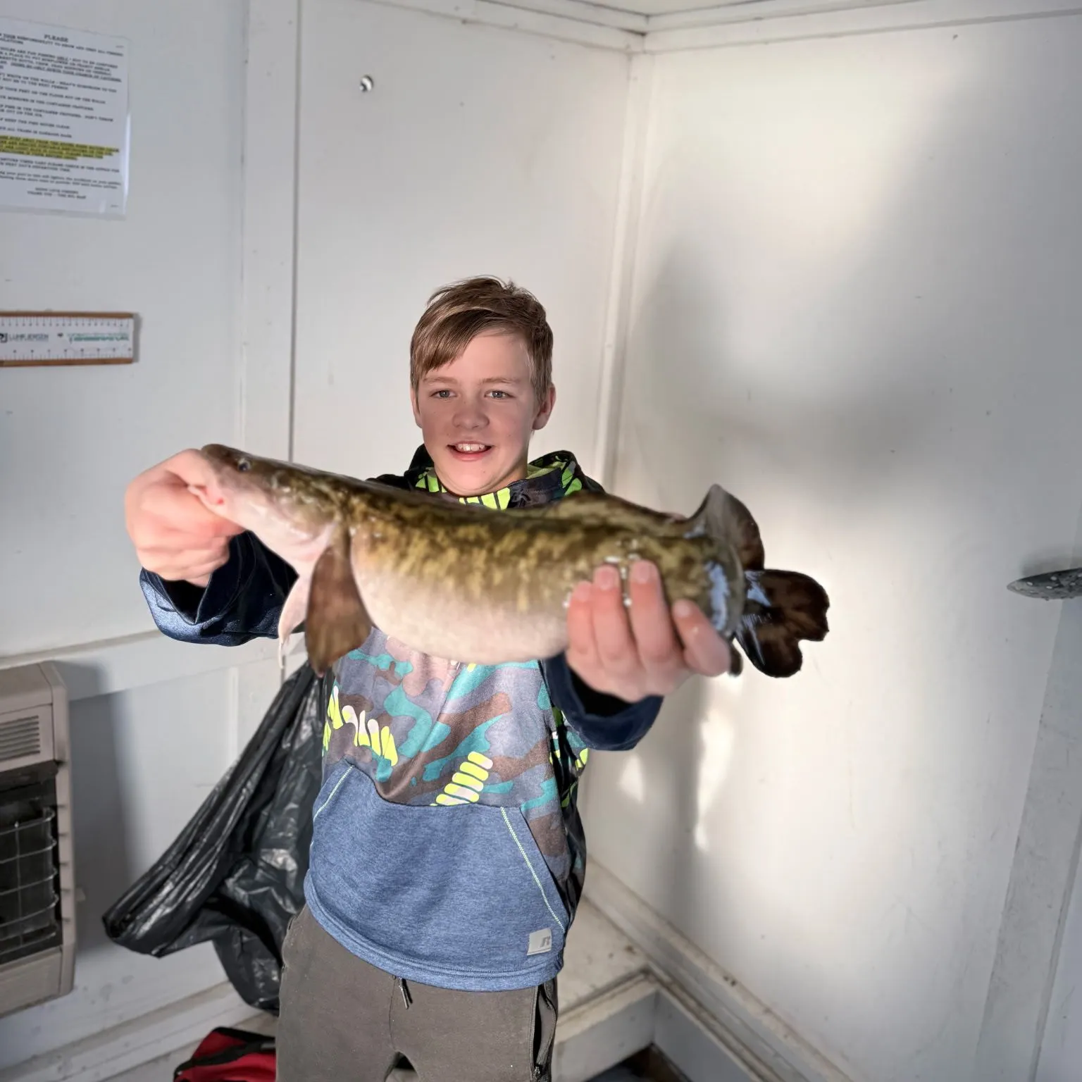 Burbot caught on Fishbrain