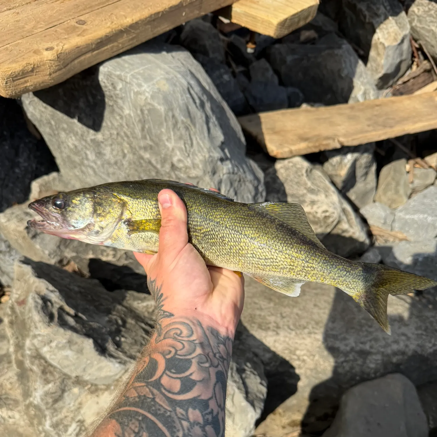 catch