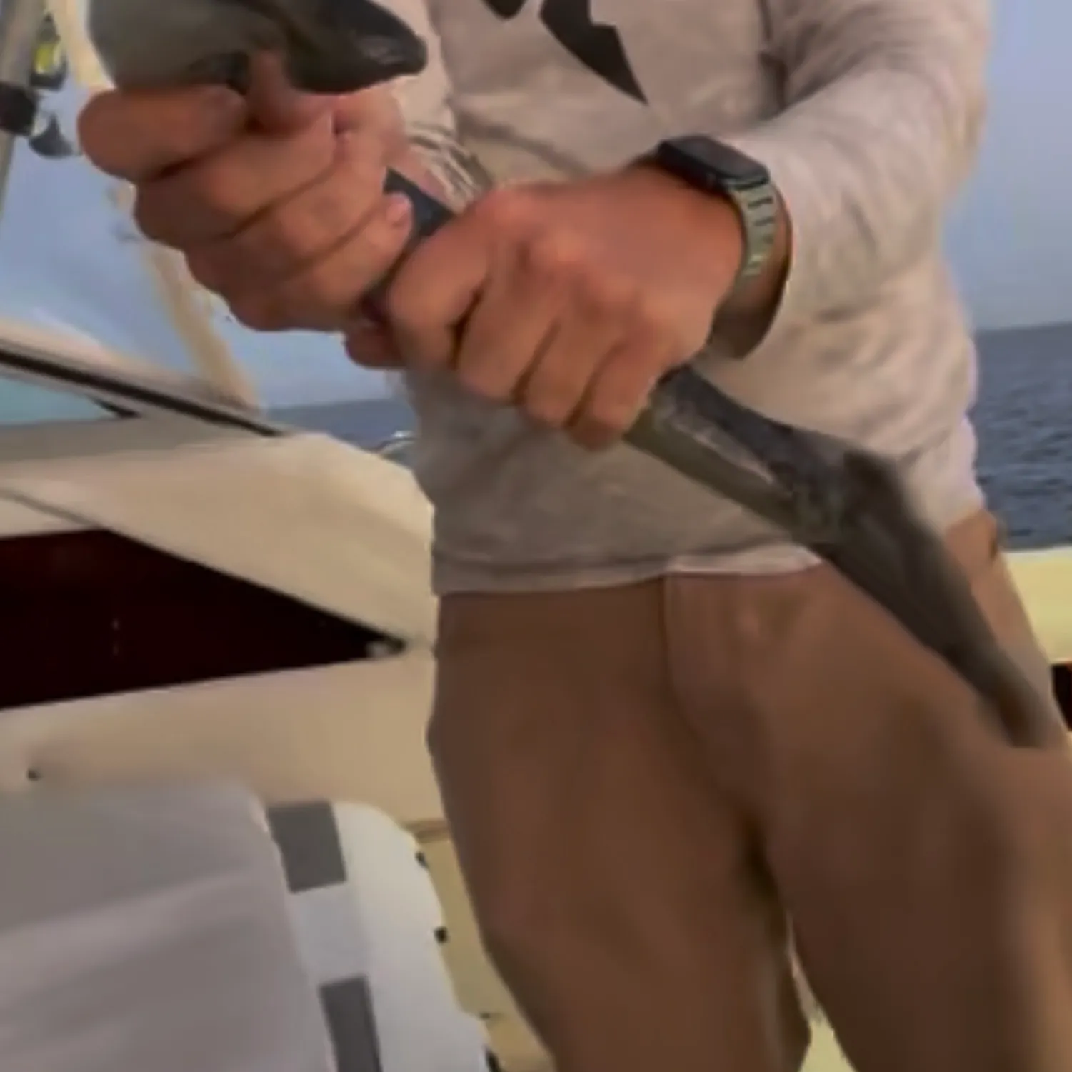 The most recent Sea lamprey catches on Fishbrain