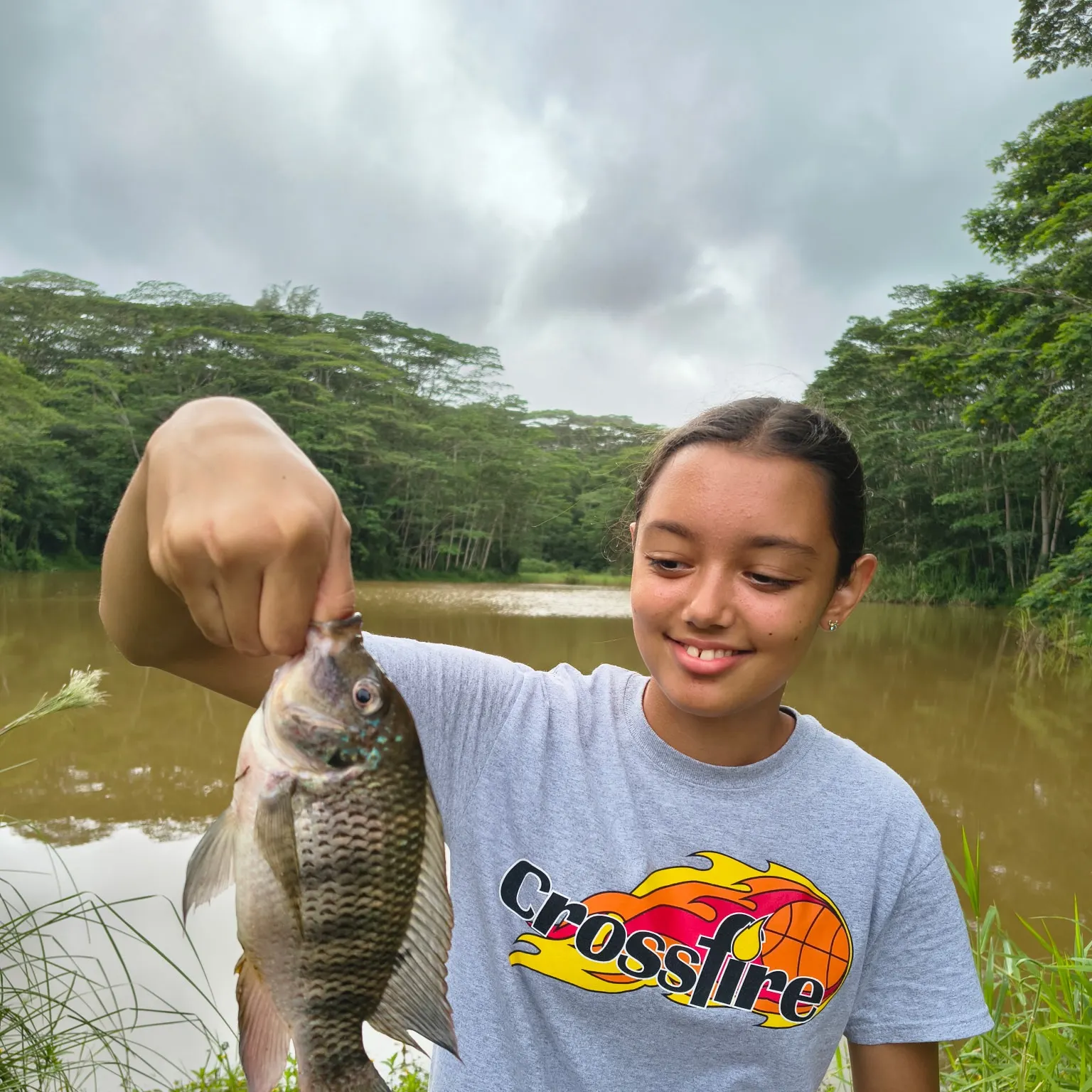 The most recent Redbreast tilapia catches on Fishbrain
