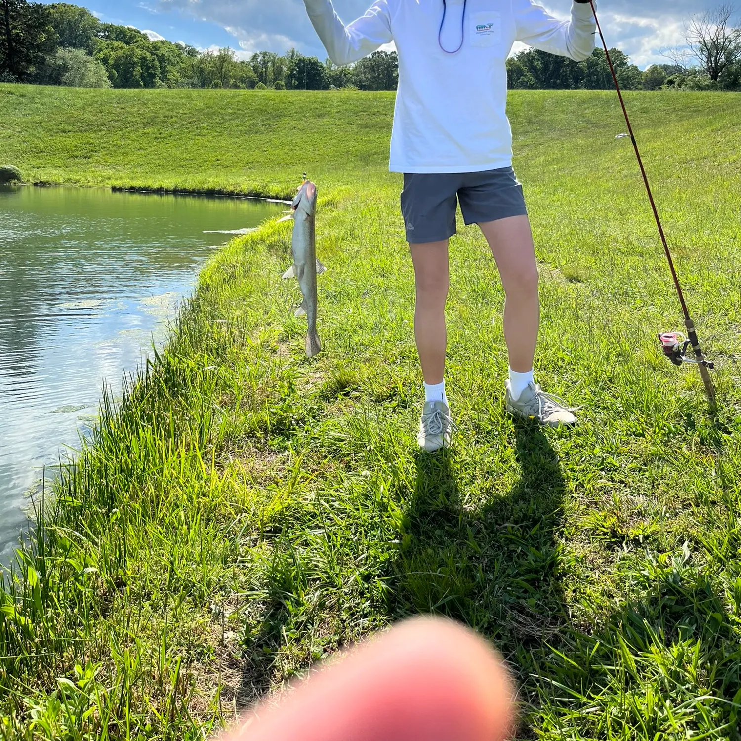 Rainbow trout caught on Fishbrain