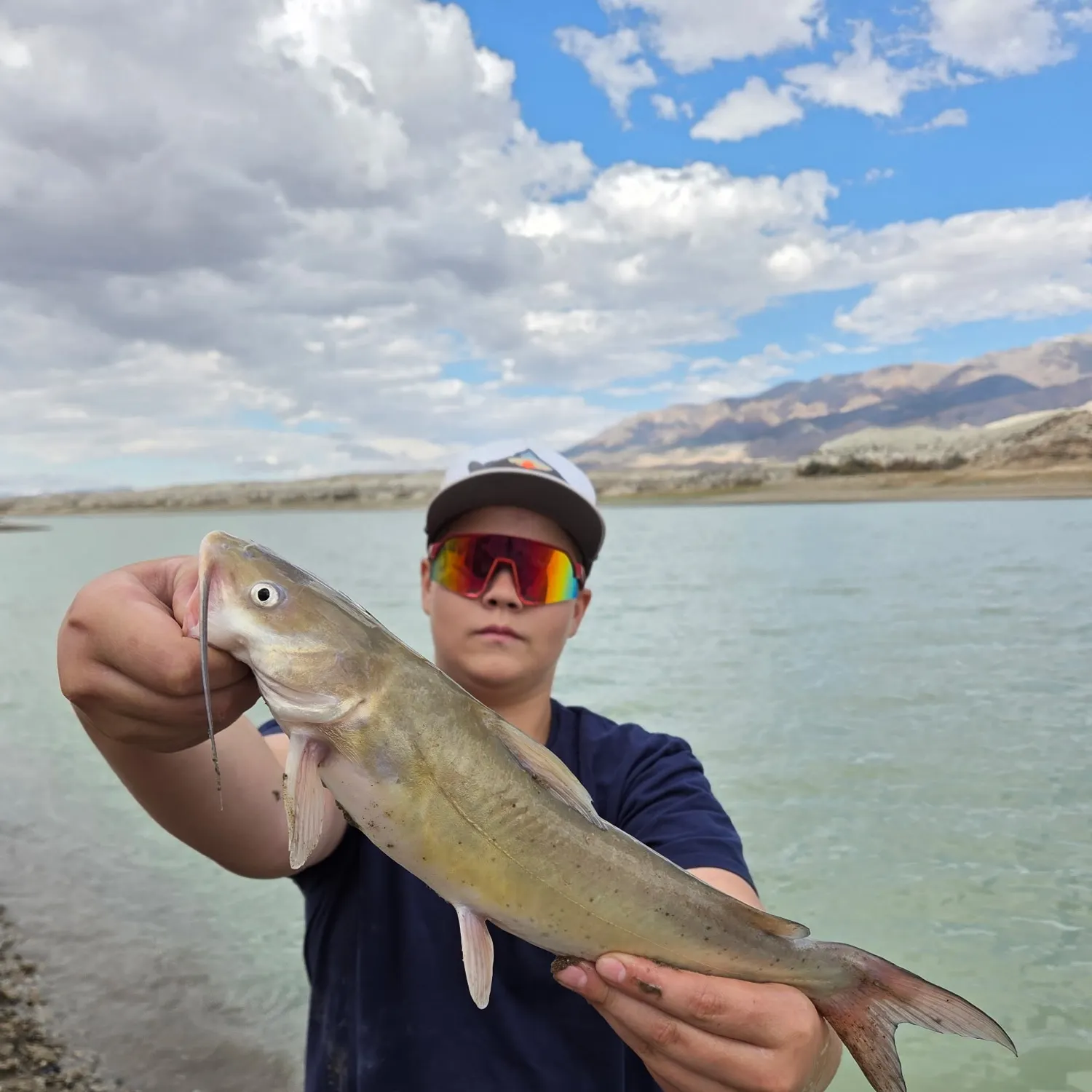 Channel catfish caught on Fishbrain