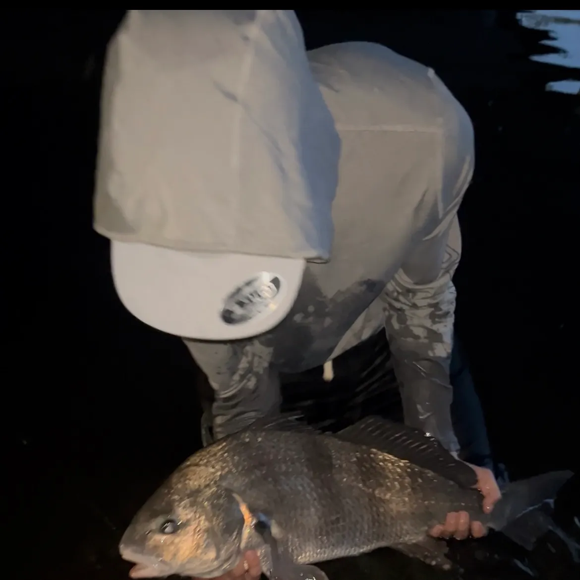 The most recent Black drum catches on Fishbrain