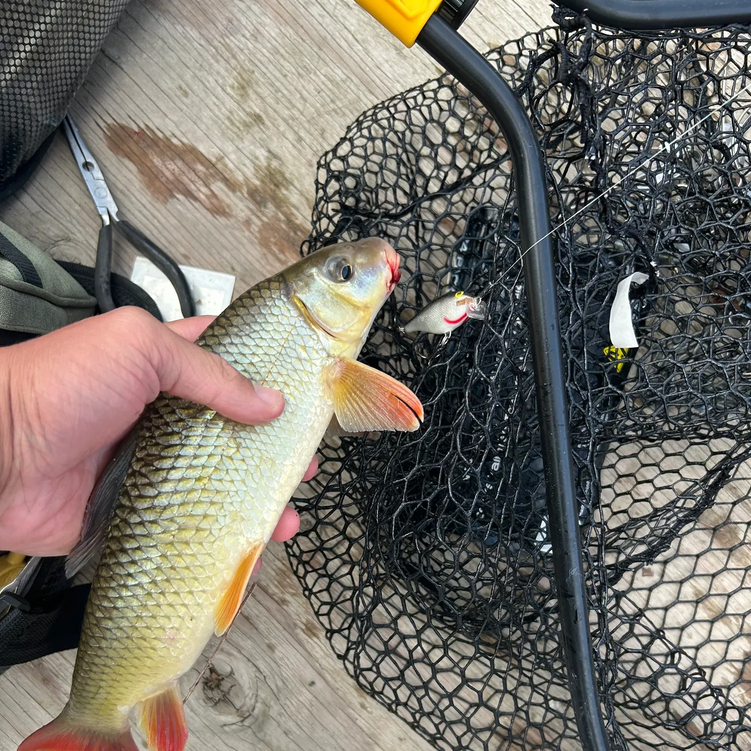 catch