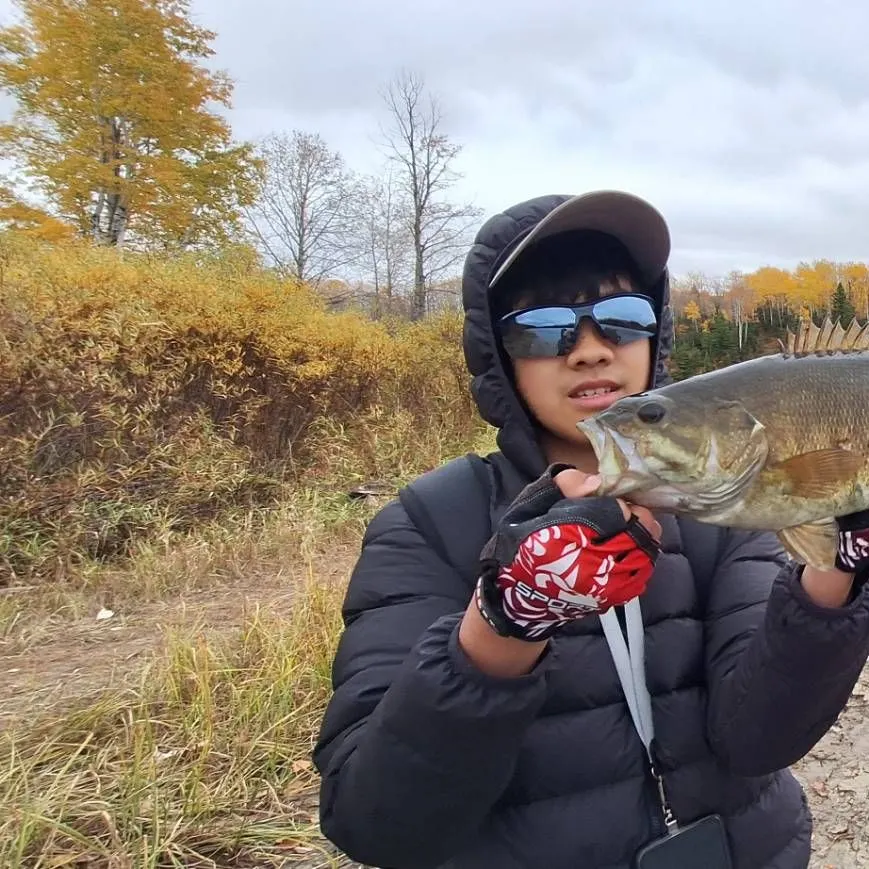 Smallmouth bass caught on Fishbrain
