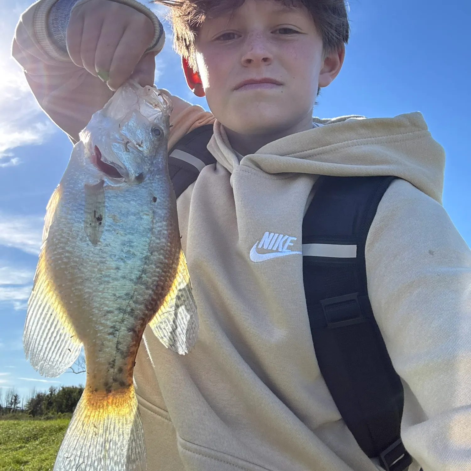 Black crappie caught on Fishbrain