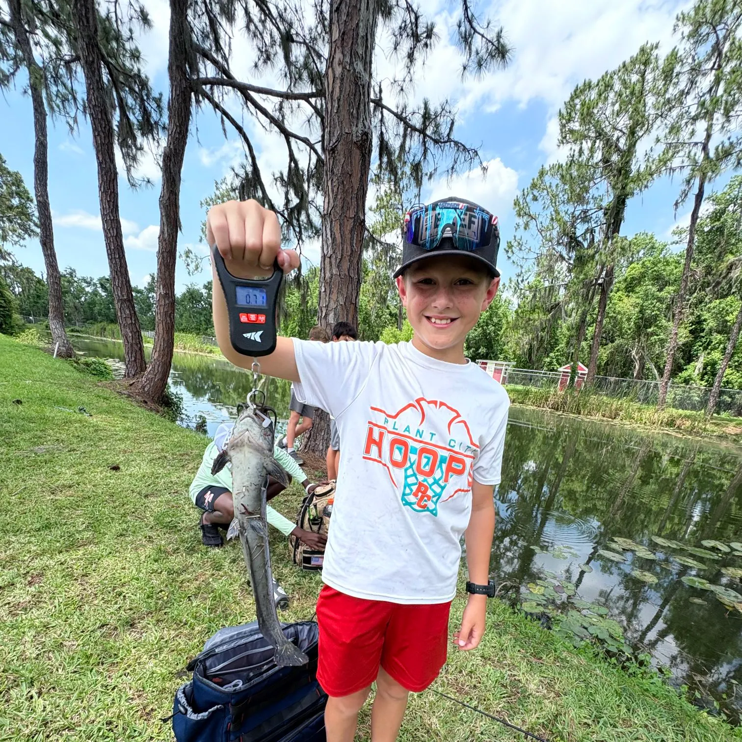 The most recent Electric catfish catches on Fishbrain