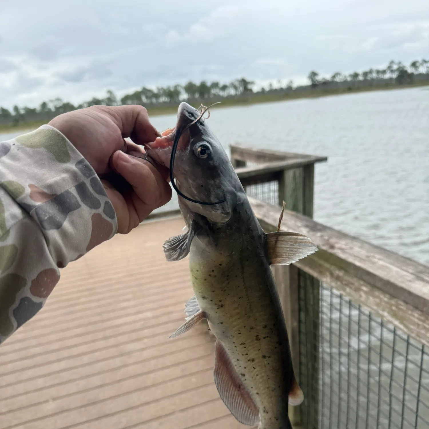 catch