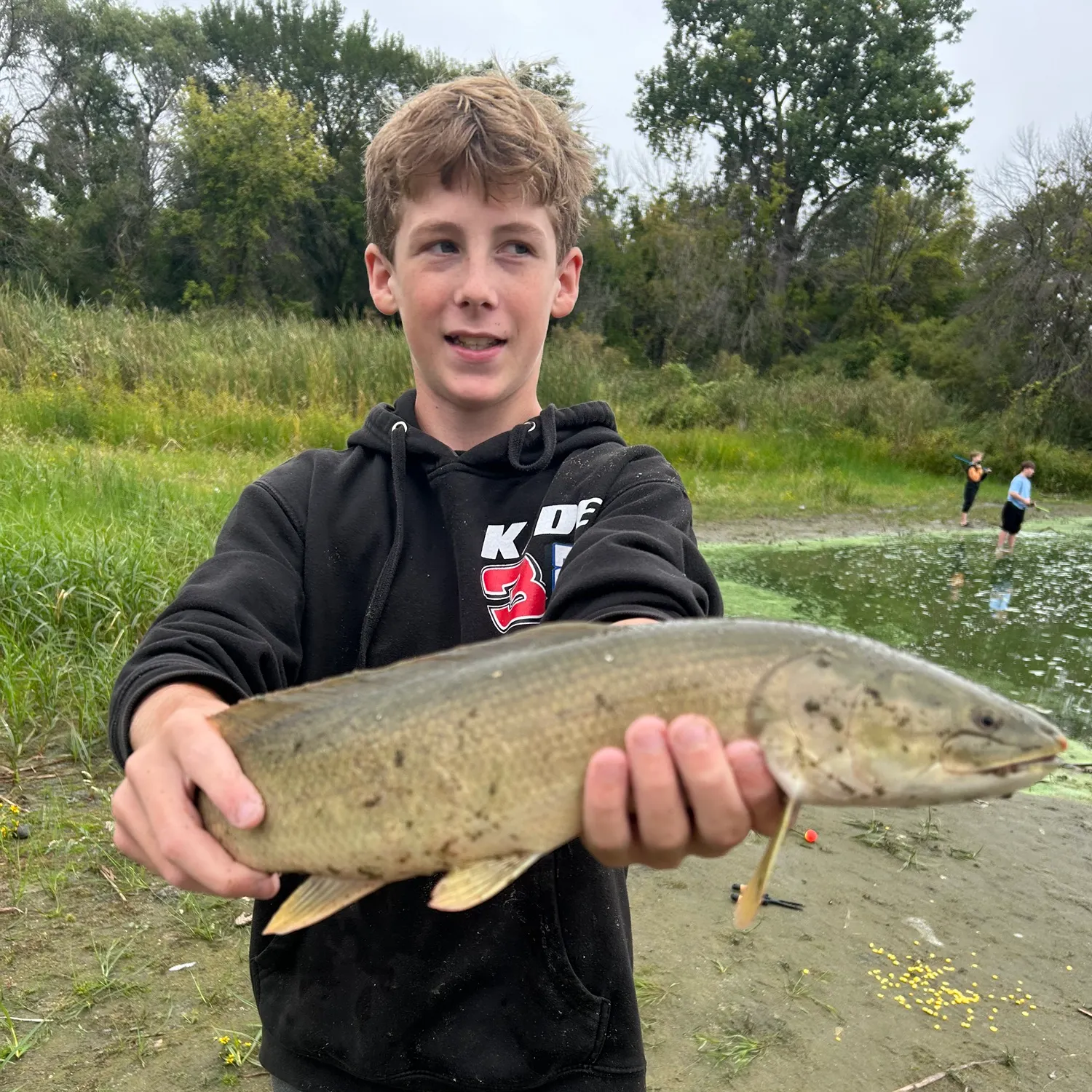 Eyetail bowfin caught on Fishbrain