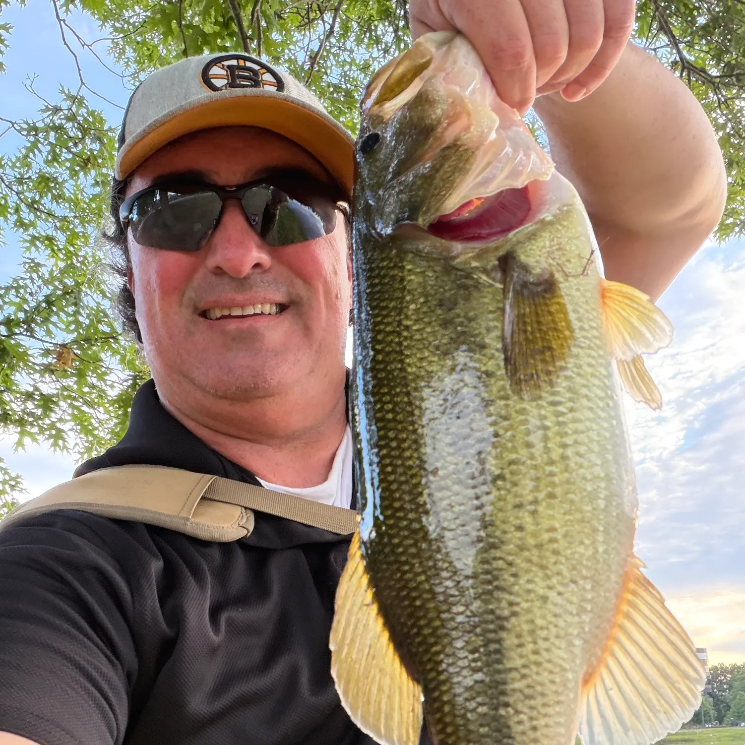 Largemouth bass caught on Fishbrain