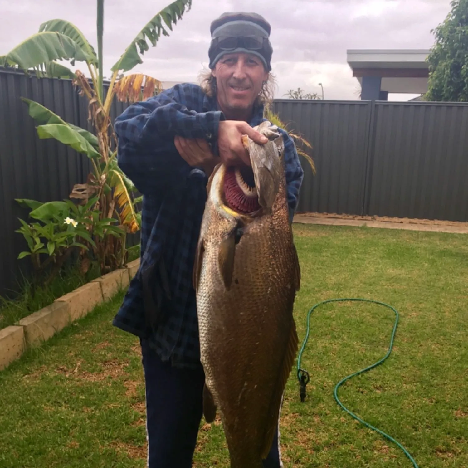 Japanese meagre caught on Fishbrain