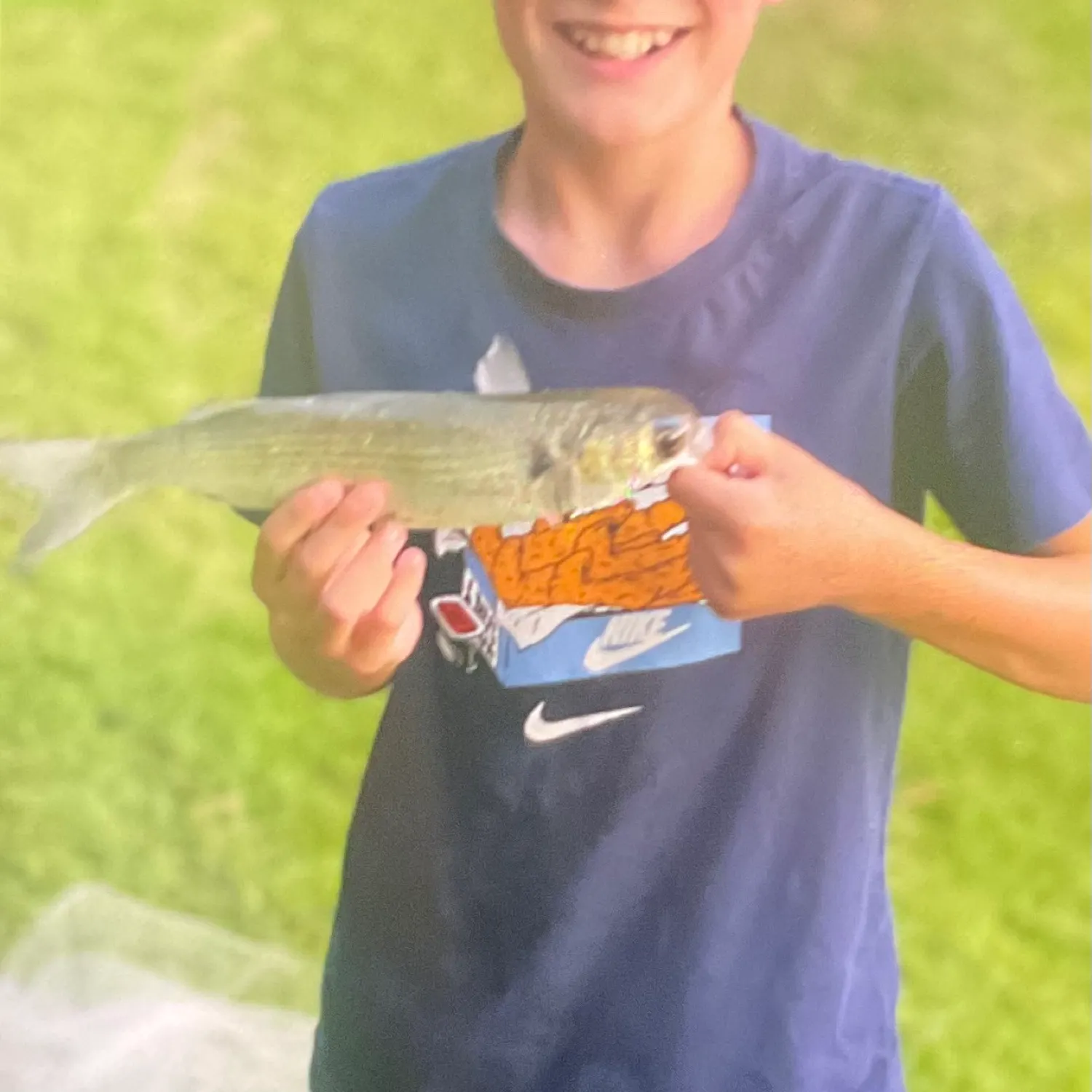 The most recent Striped mullet catches on Fishbrain