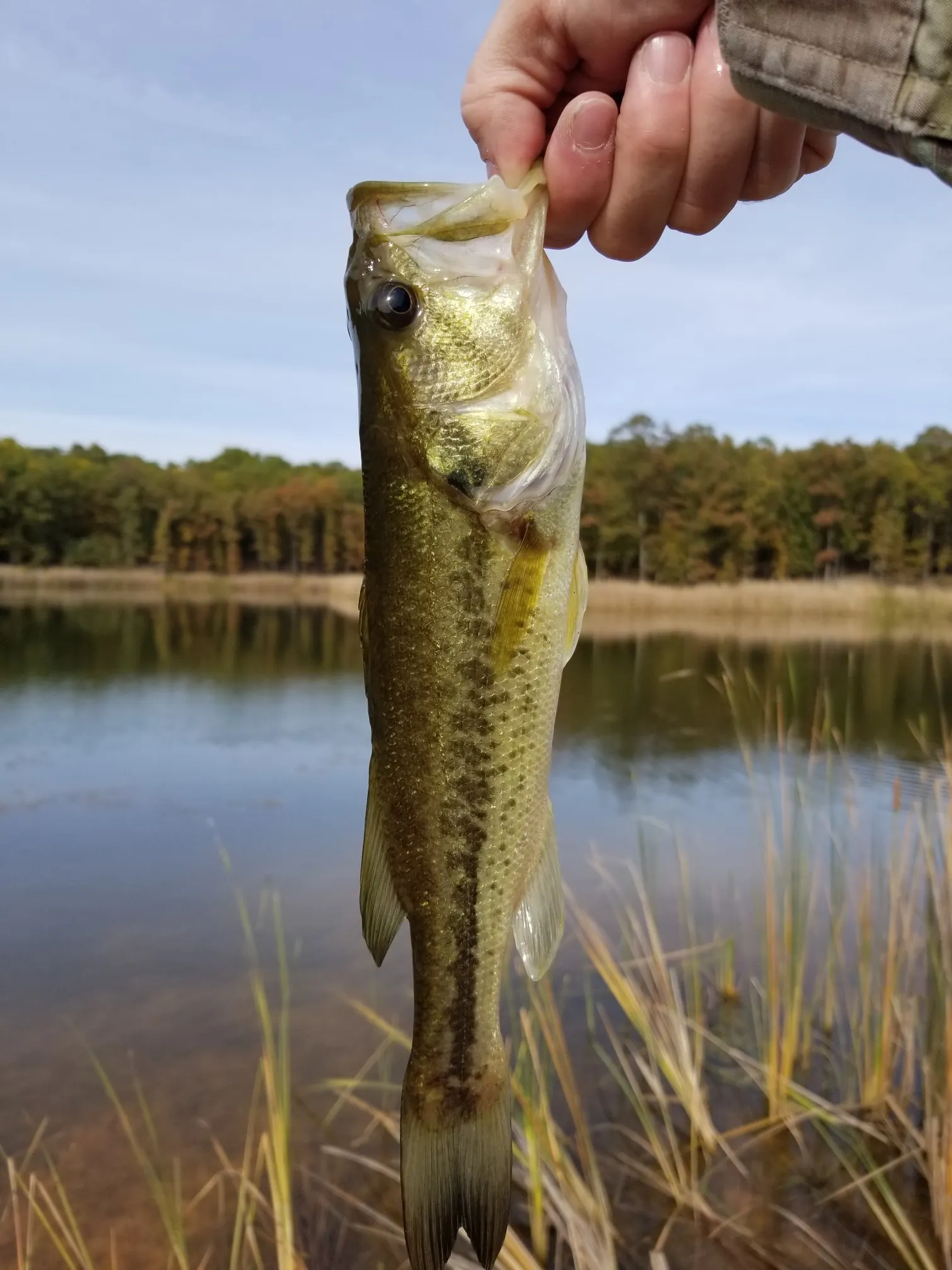 Post image from KayakSoldier