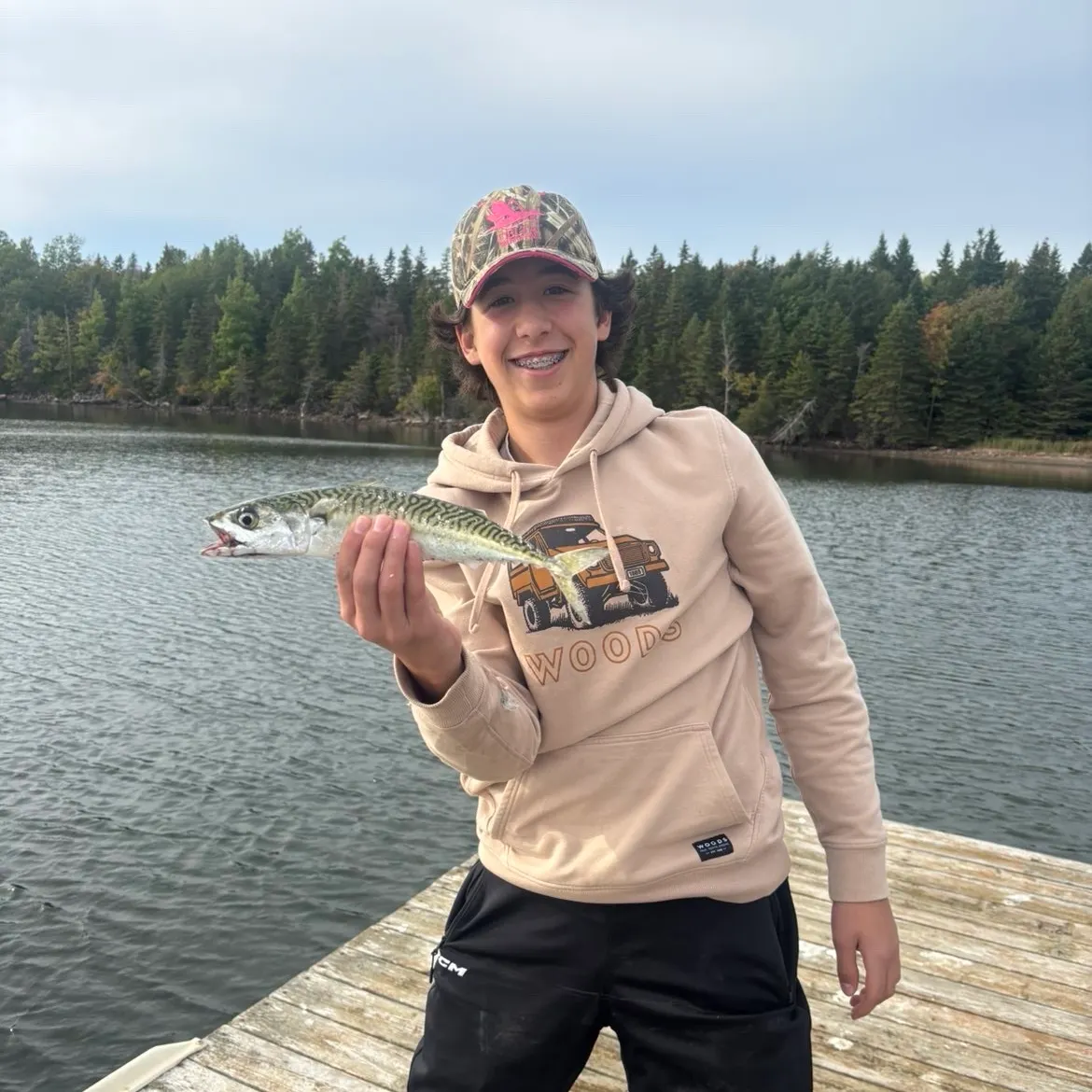 Atlantic mackerel caught on Fishbrain