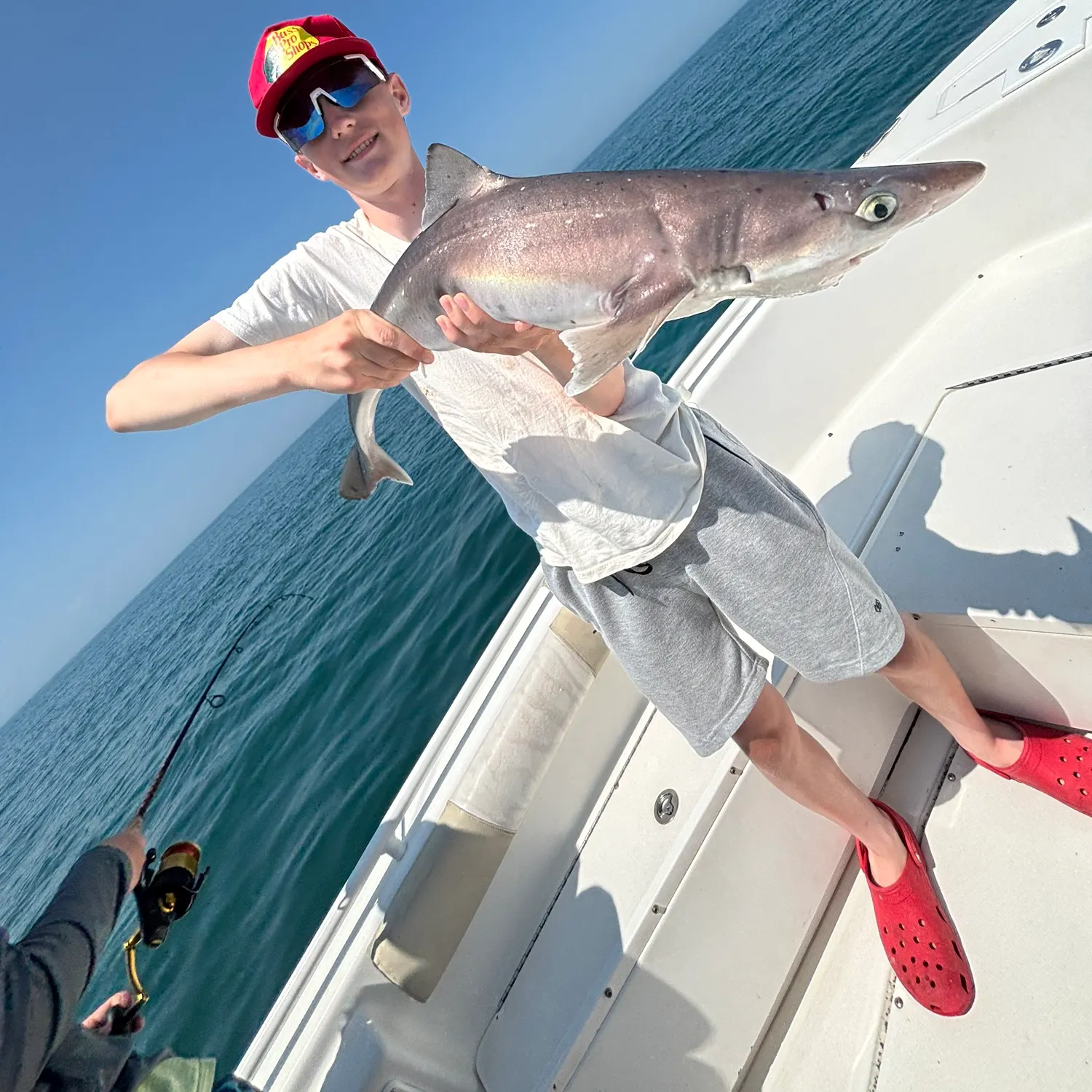 The most recent Piked dogfish catches on Fishbrain