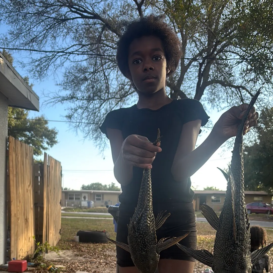 The most recent Suckermouth catfish catches on Fishbrain