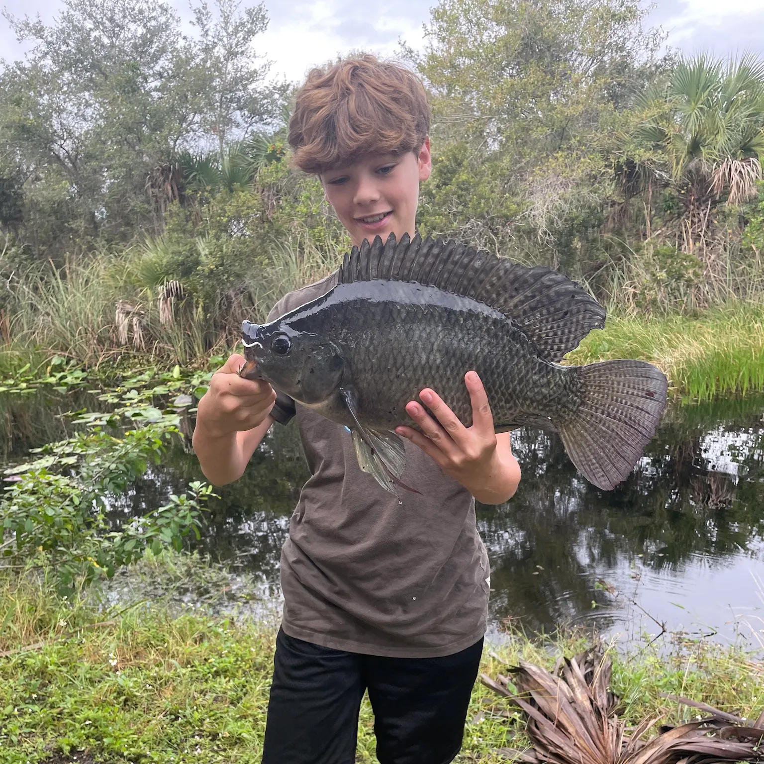 The most recent Blue tilapia catches on Fishbrain