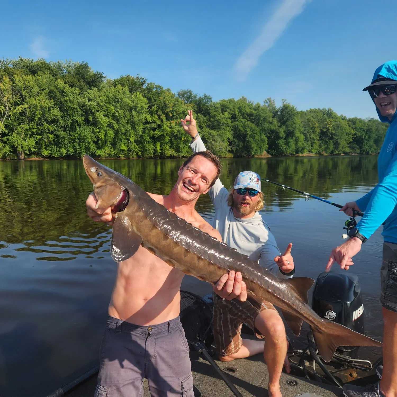 Lake sturgeon caught on Fishbrain