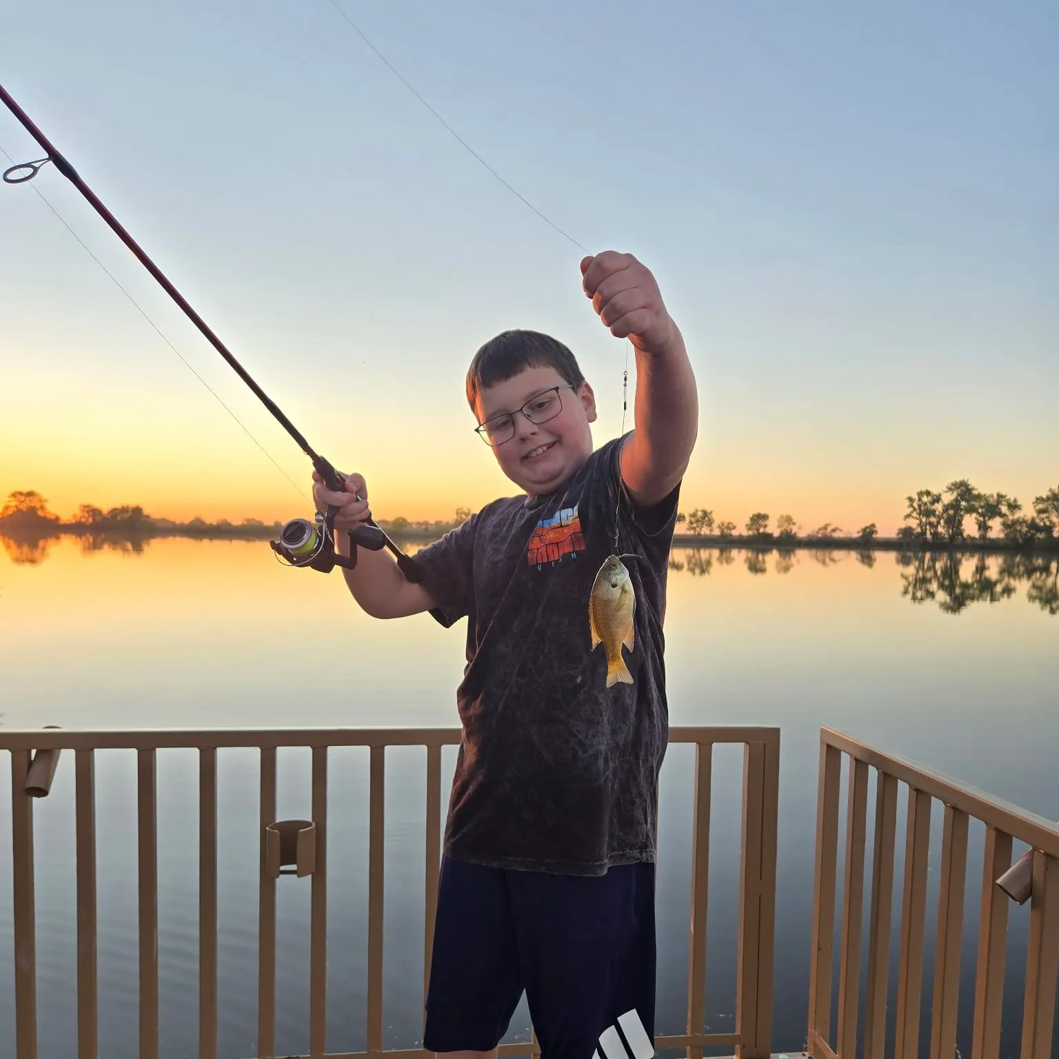 Bluegill caught on Fishbrain