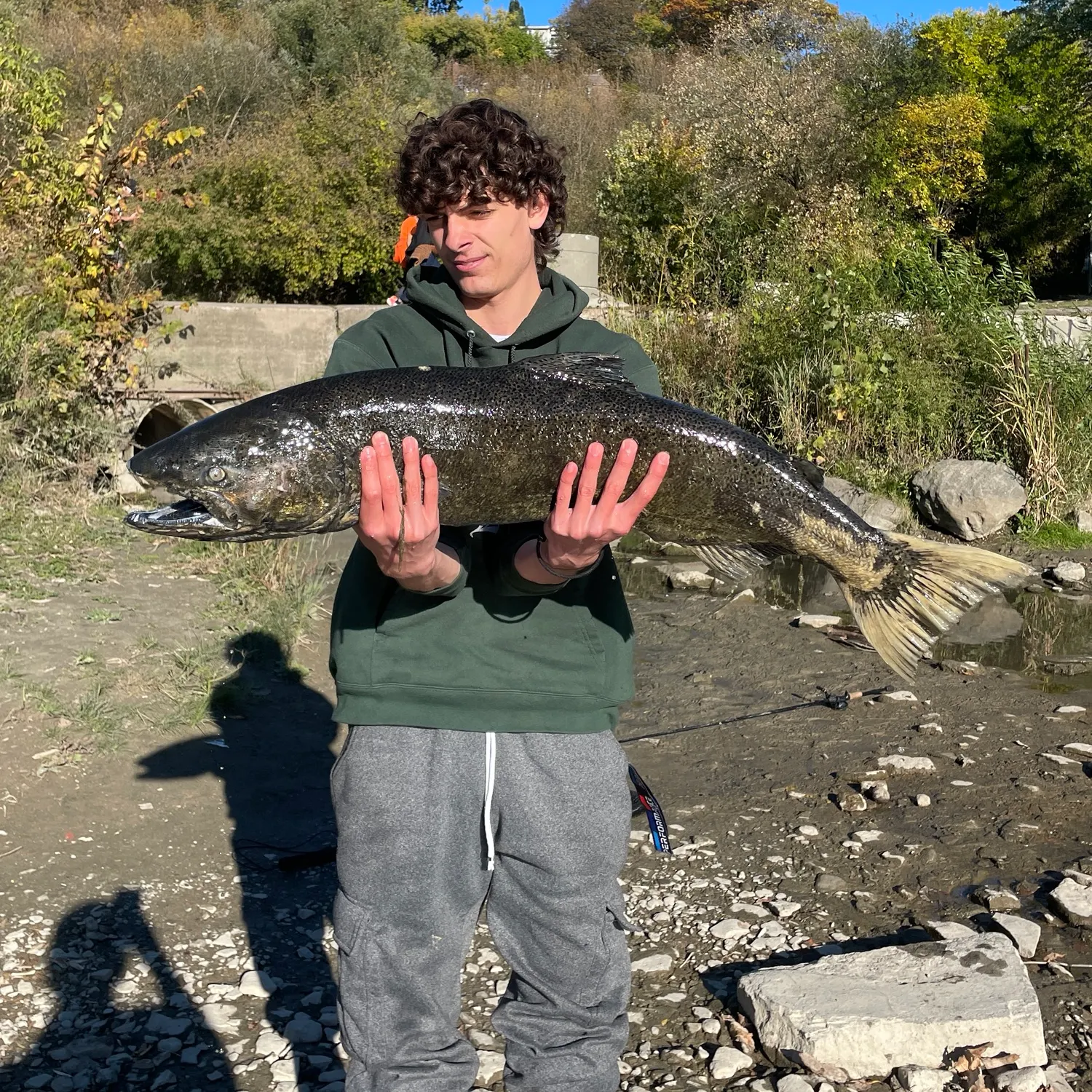 Chinook salmon caught on Fishbrain