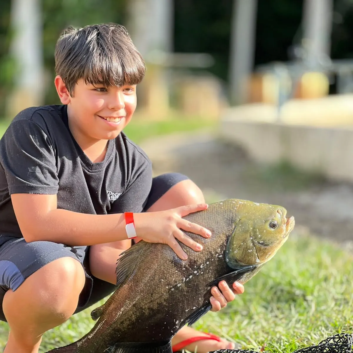 Black pacu caught on Fishbrain