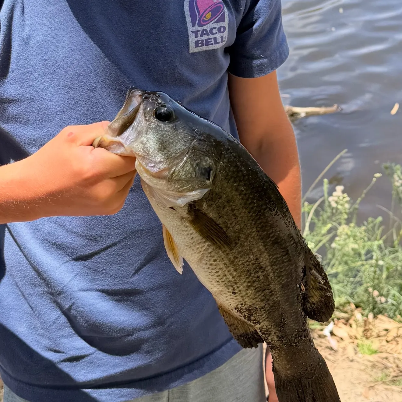 Fish caught on Fishbrain