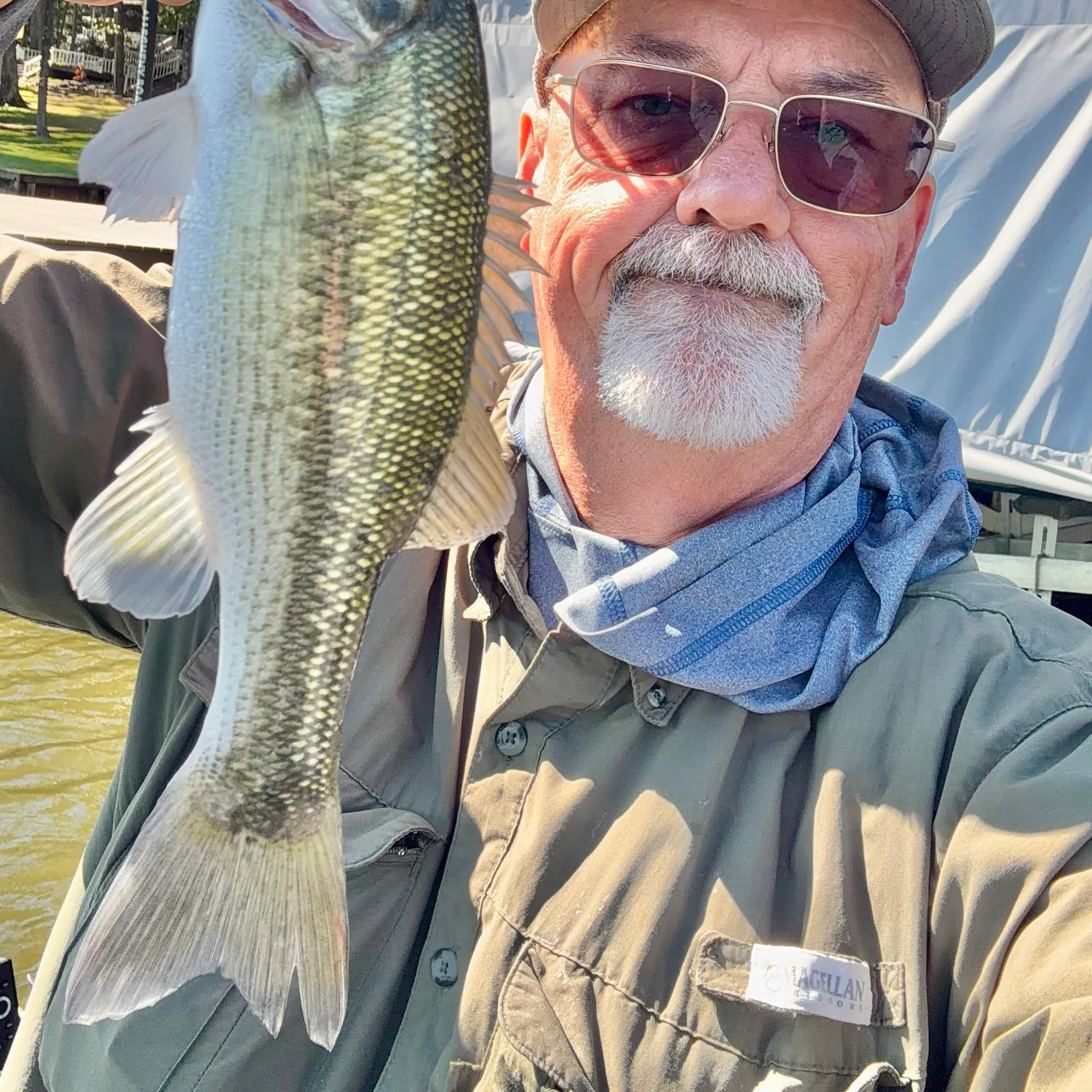 Spotted bass caught on Fishbrain