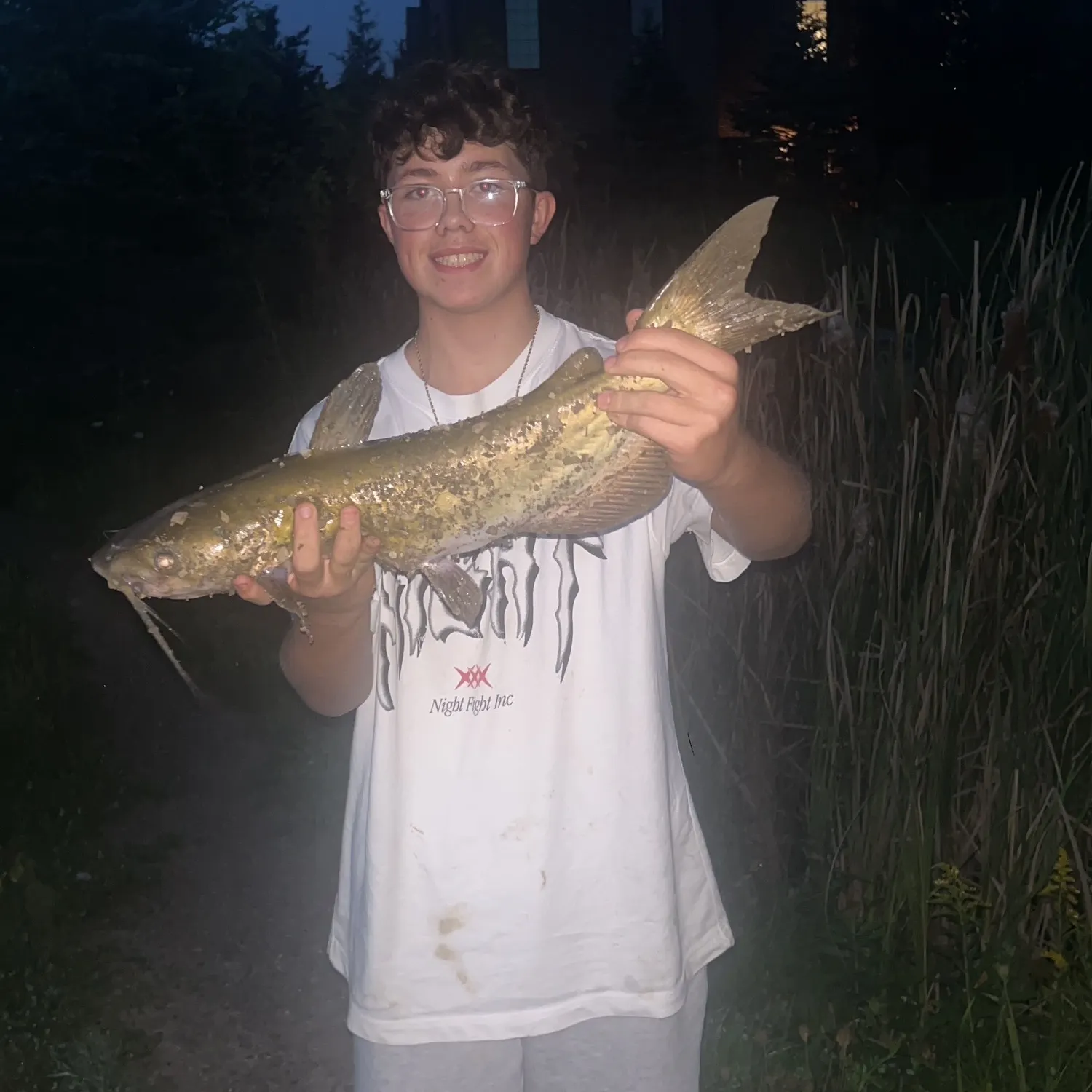 Channel catfish caught on Fishbrain