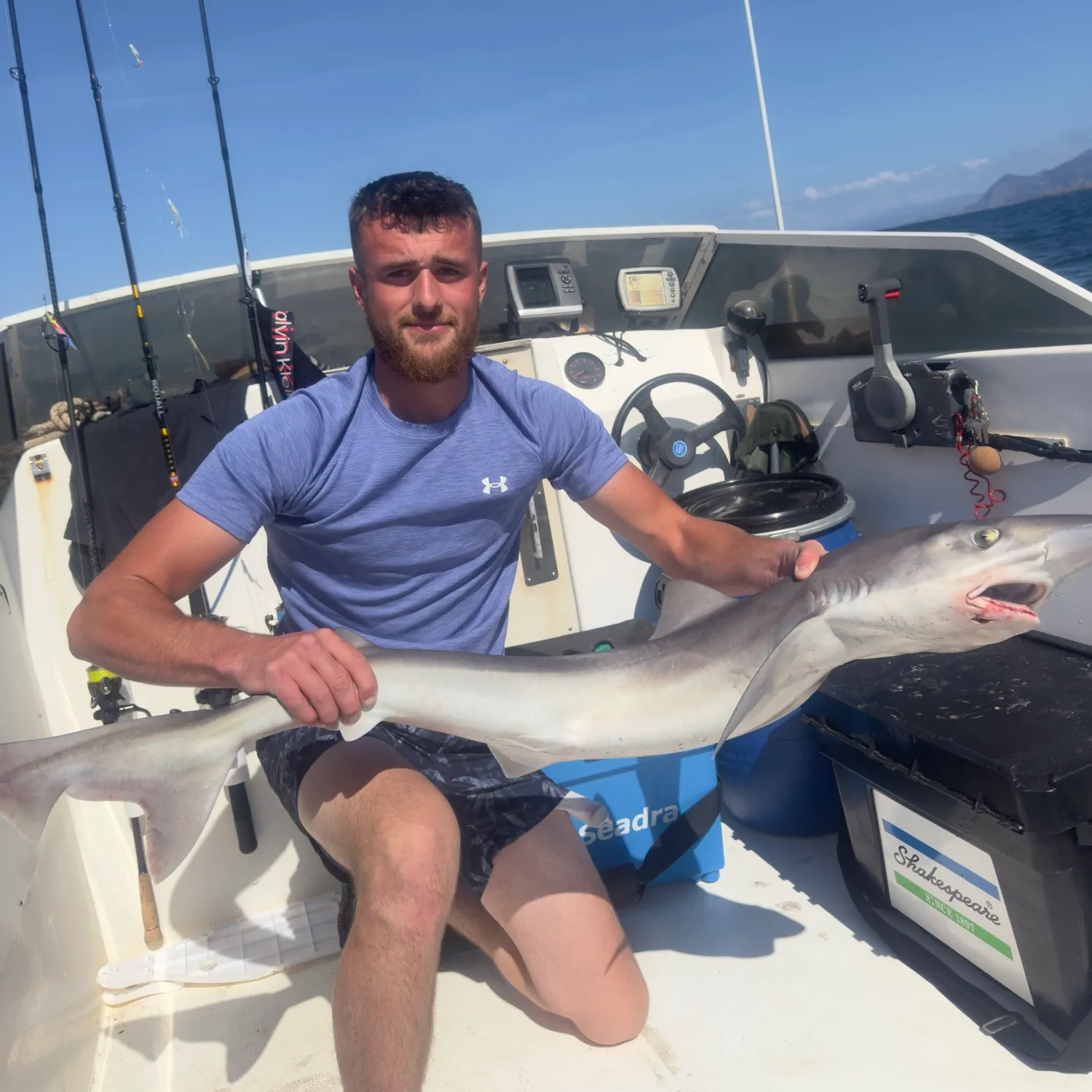 The most recent Tope shark catches on Fishbrain
