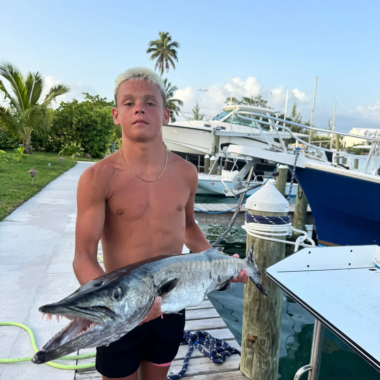 The most recent Great barracuda catches on Fishbrain