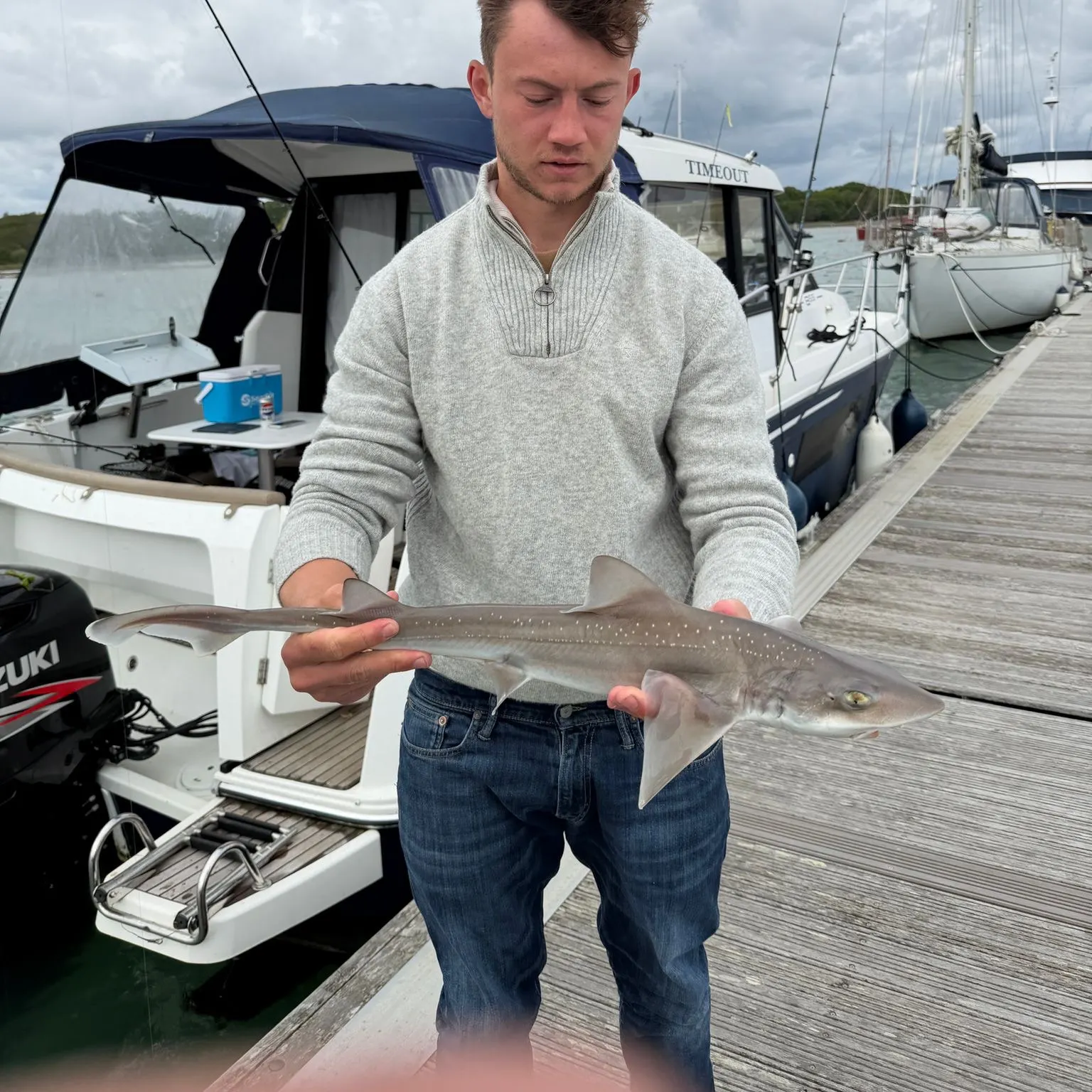 The most recent Starry smooth-hound catches on Fishbrain