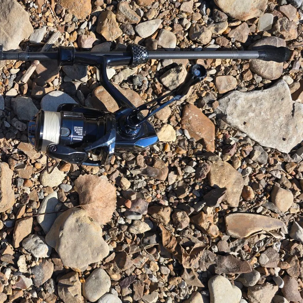 Longear sunfish caught on Fishbrain