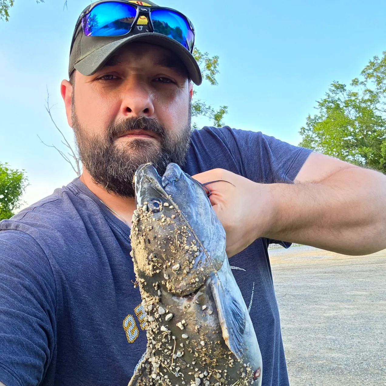 Brook trout caught on Fishbrain