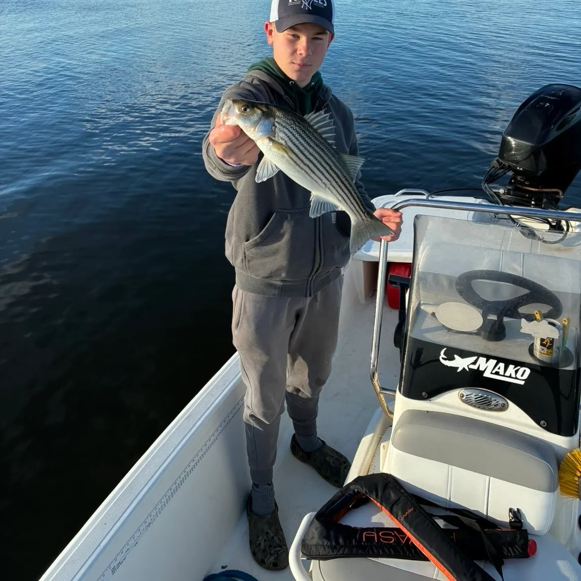 Striped bass caught on Fishbrain