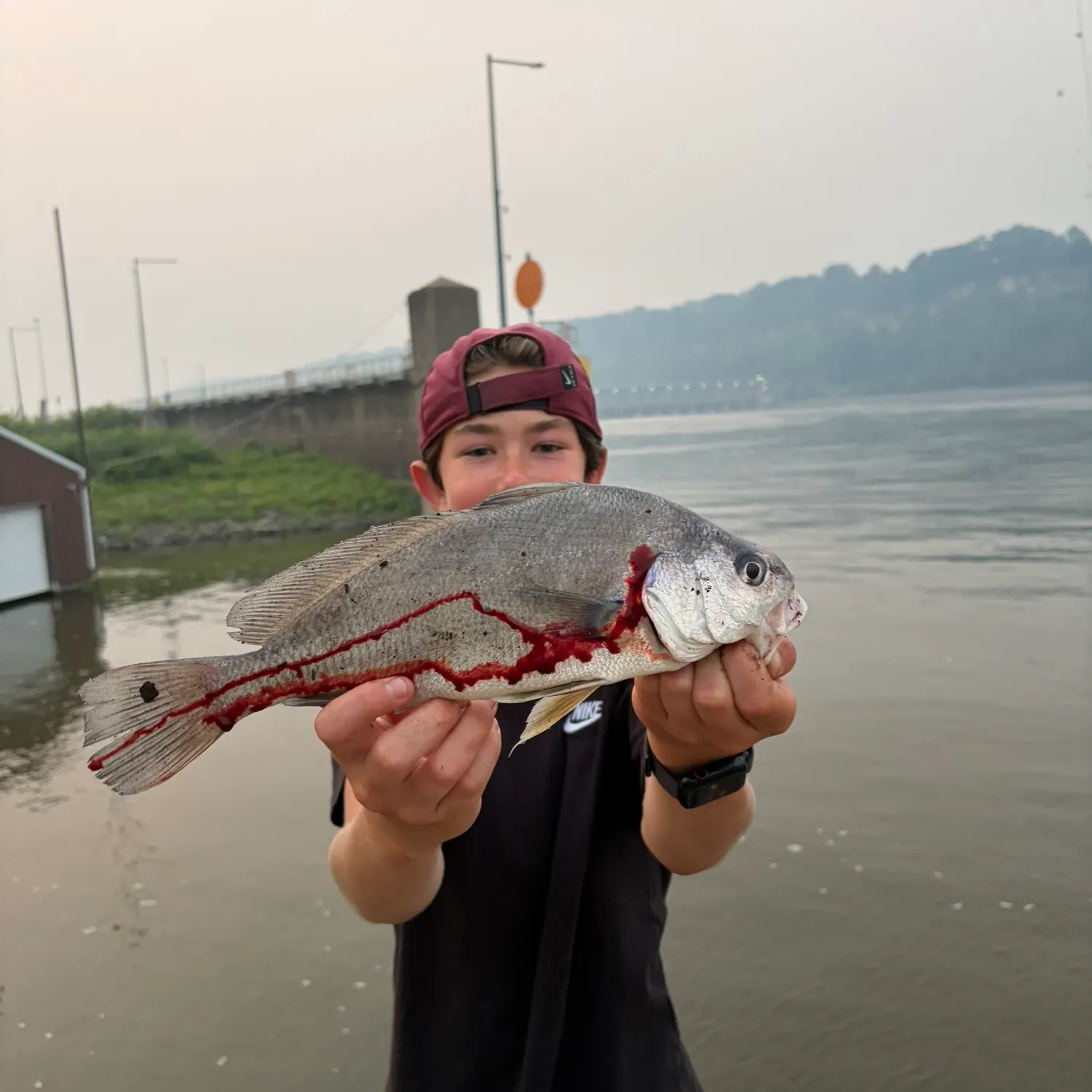 catch