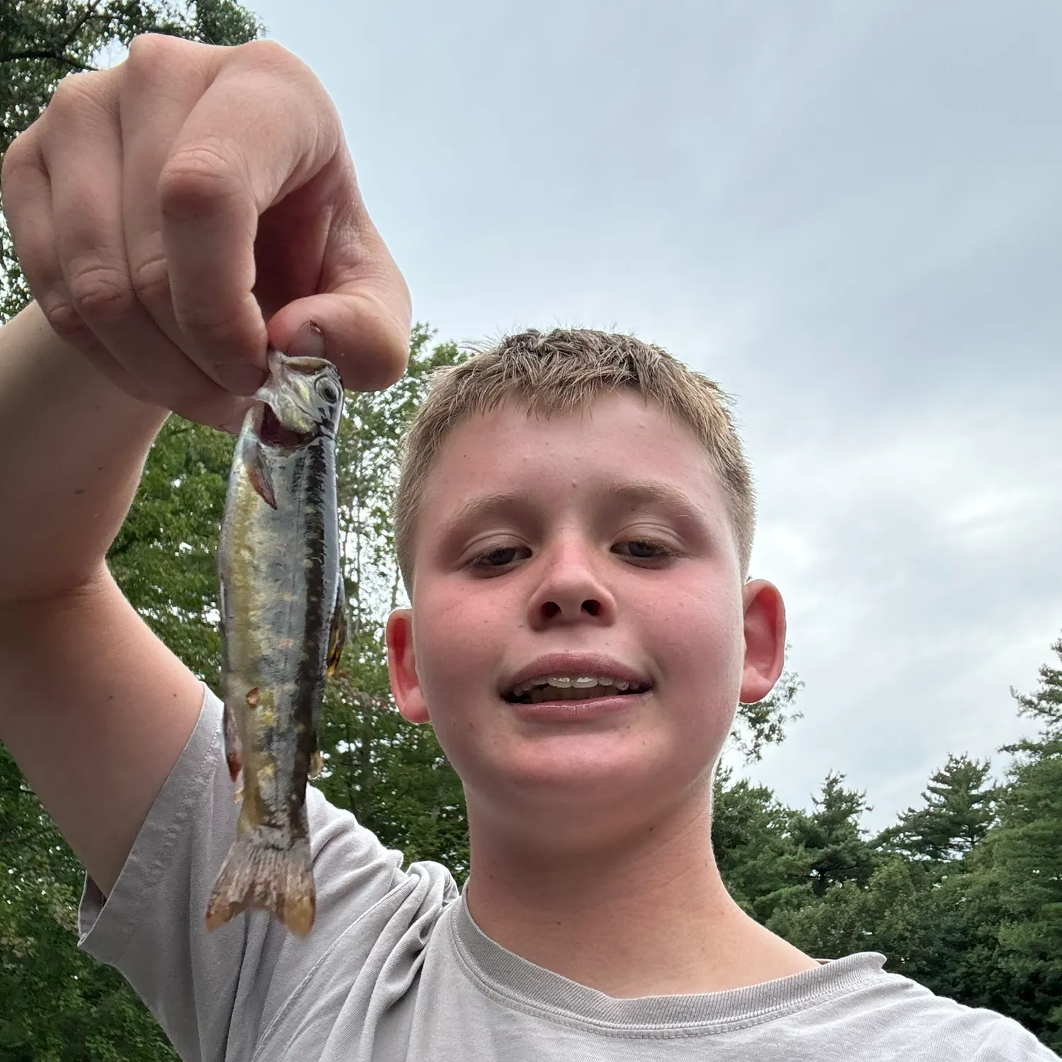 Brook trout caught on Fishbrain