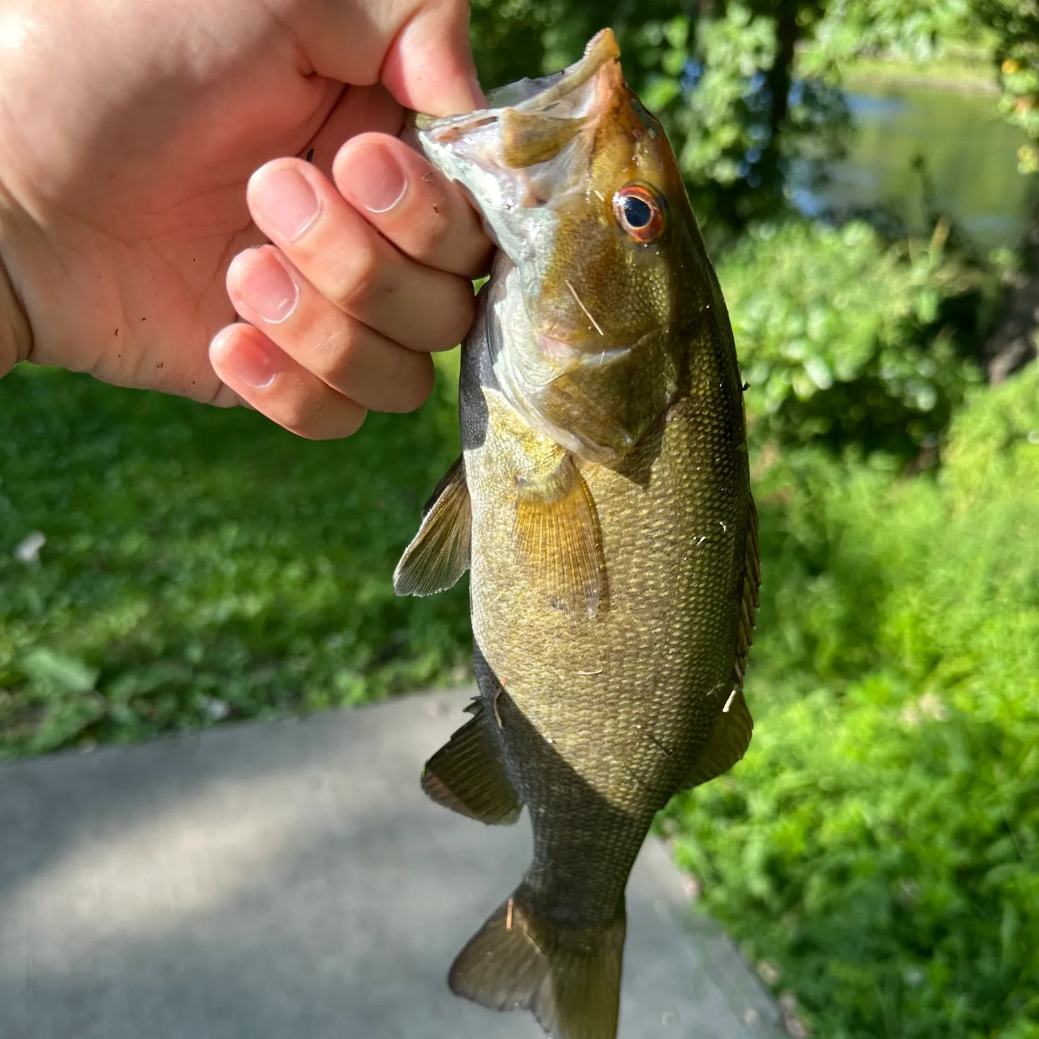 catch