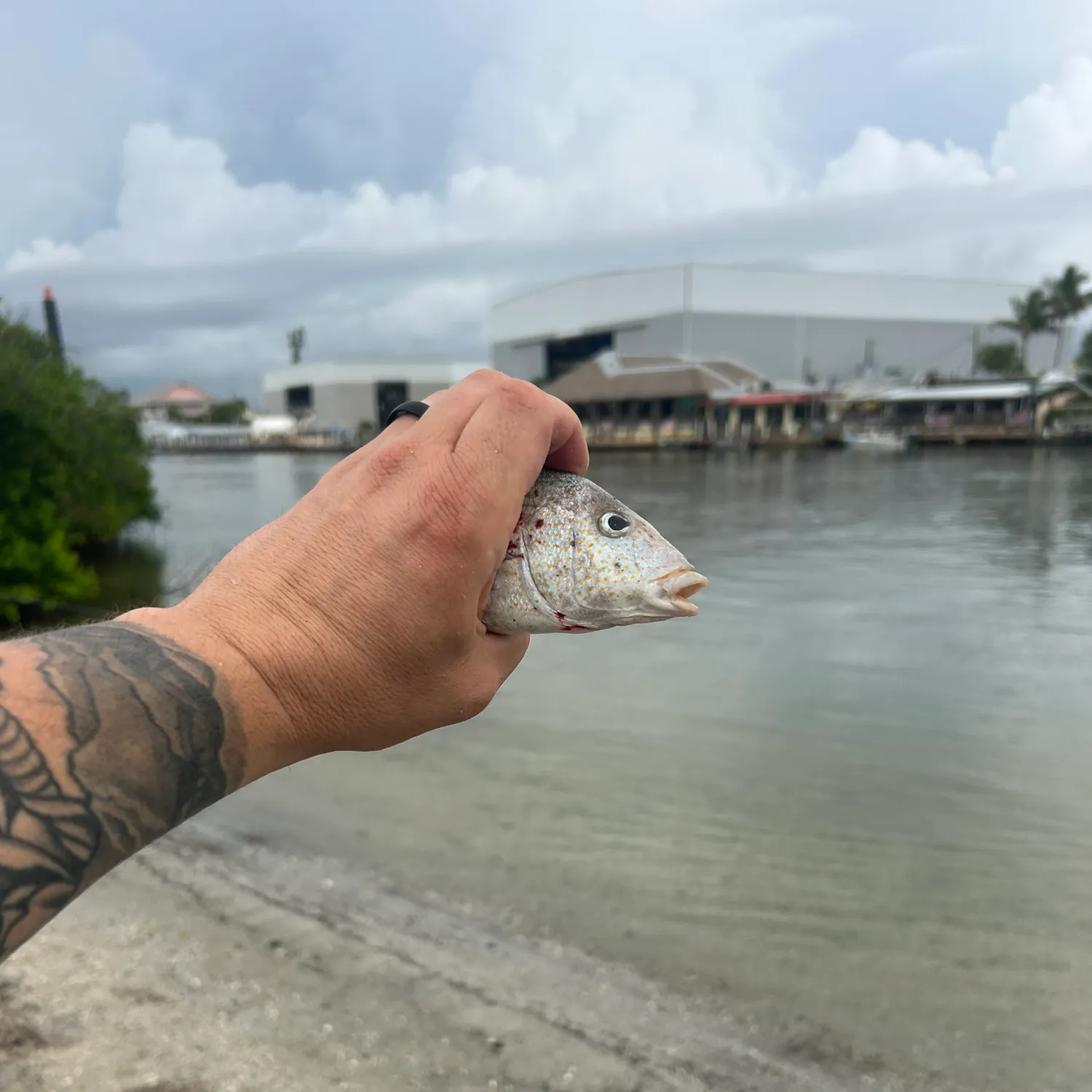 catch